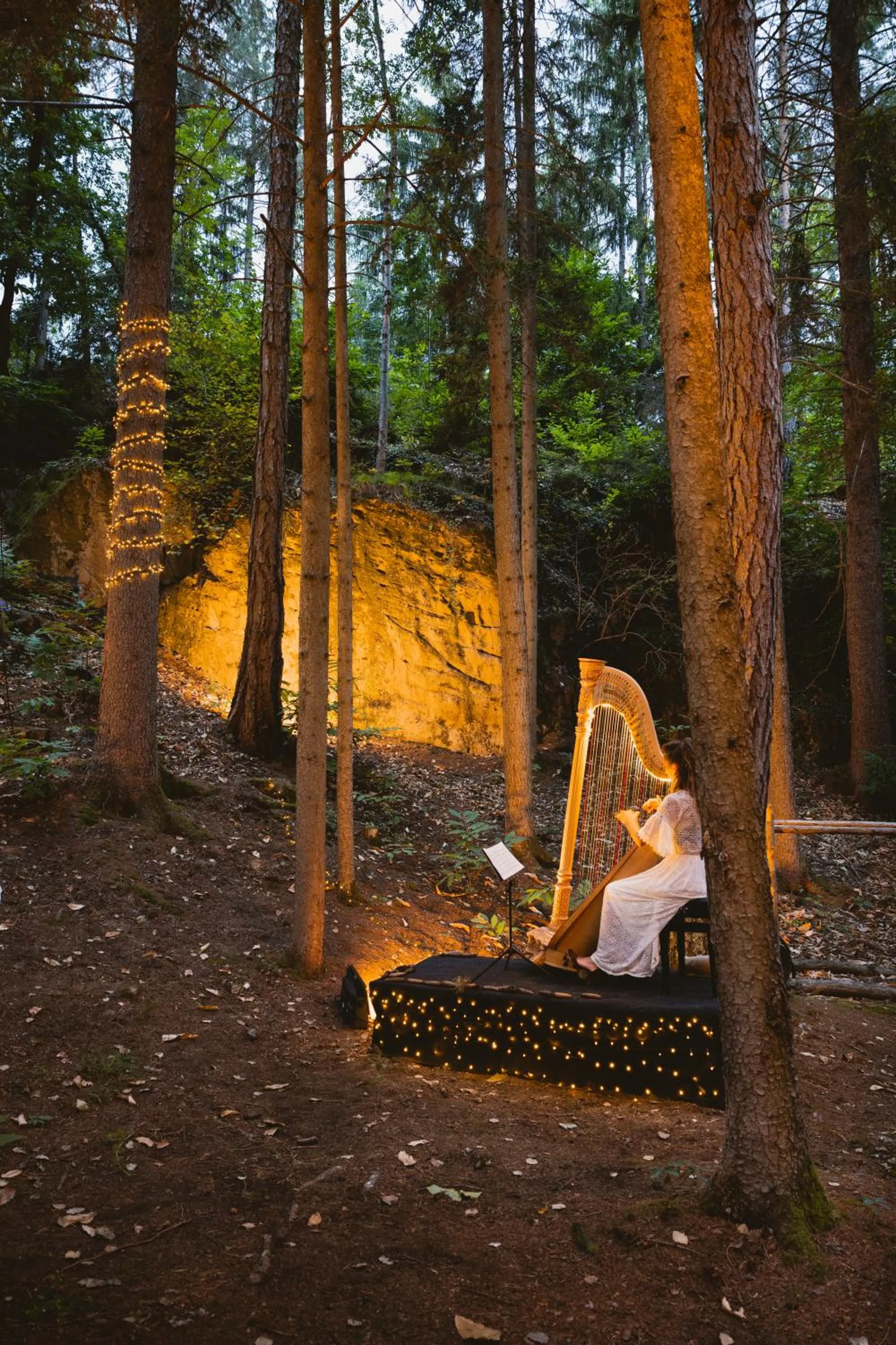 Garden in Der Waldhof