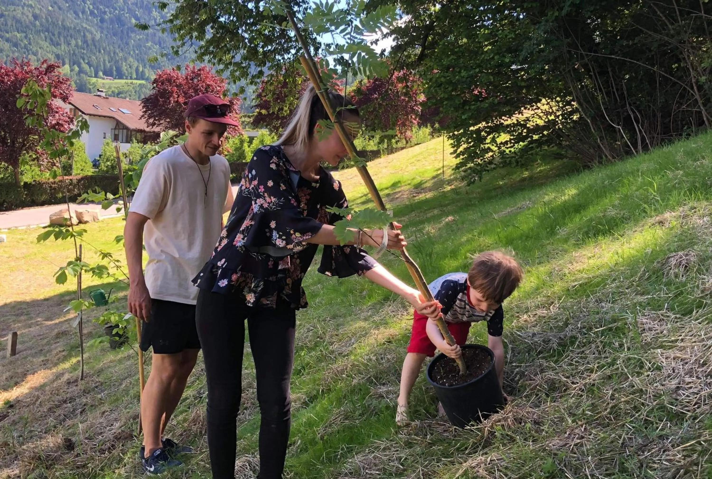 Natural landscape in Der Waldhof