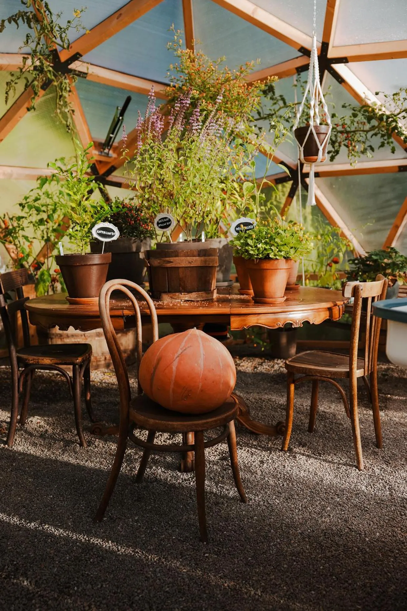 Garden in Hotel Der Waldhof