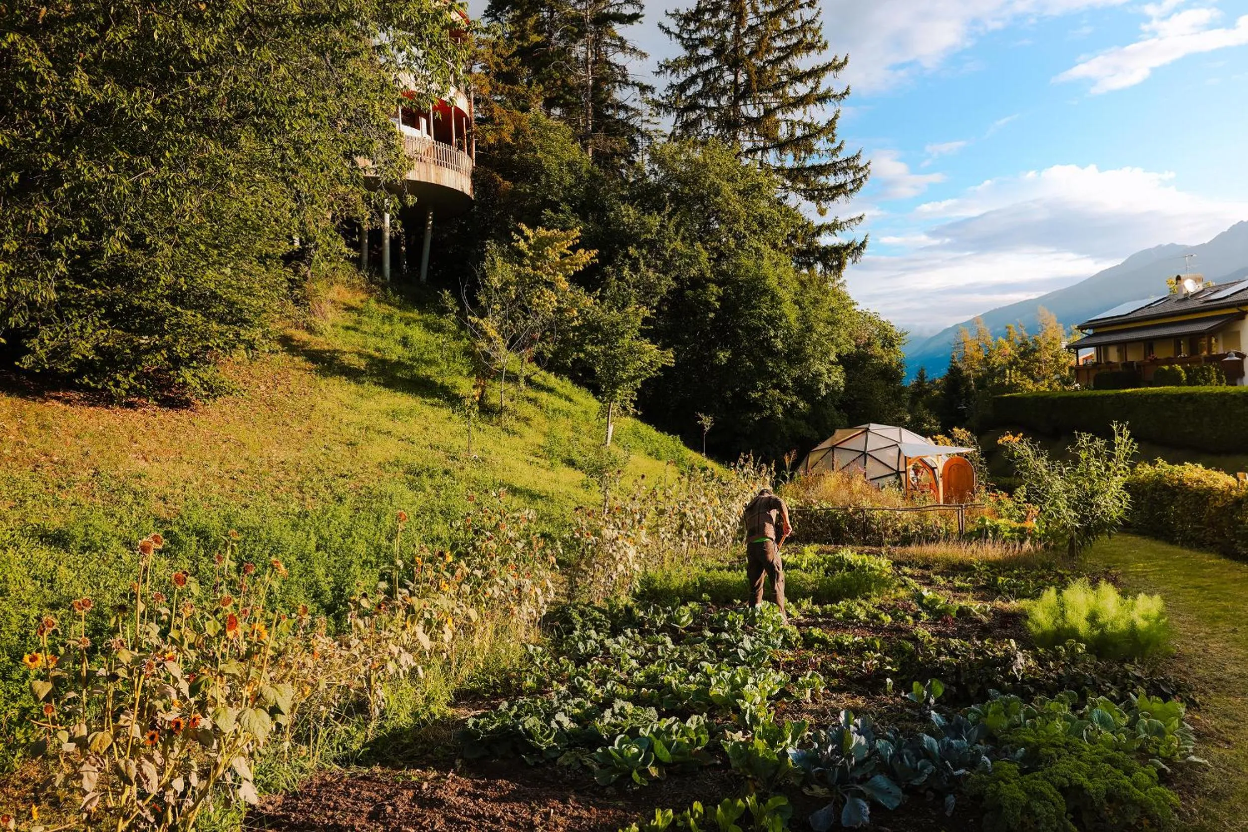 Summer in Hotel Der Waldhof