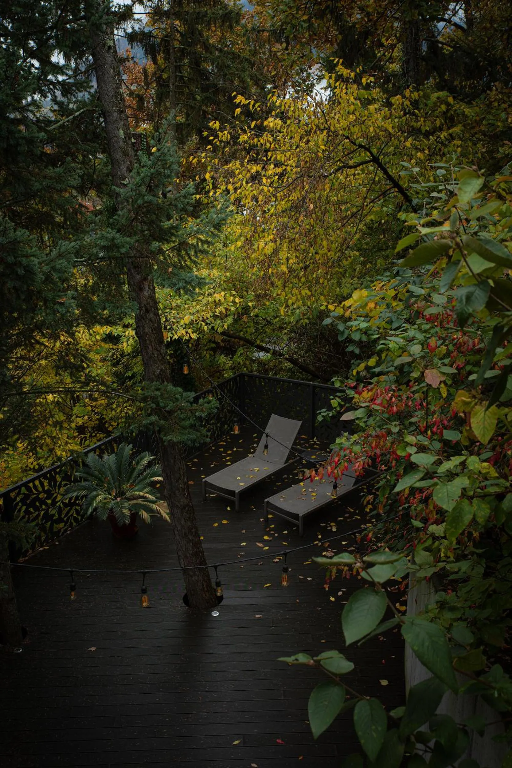 Garden in Hotel Der Waldhof