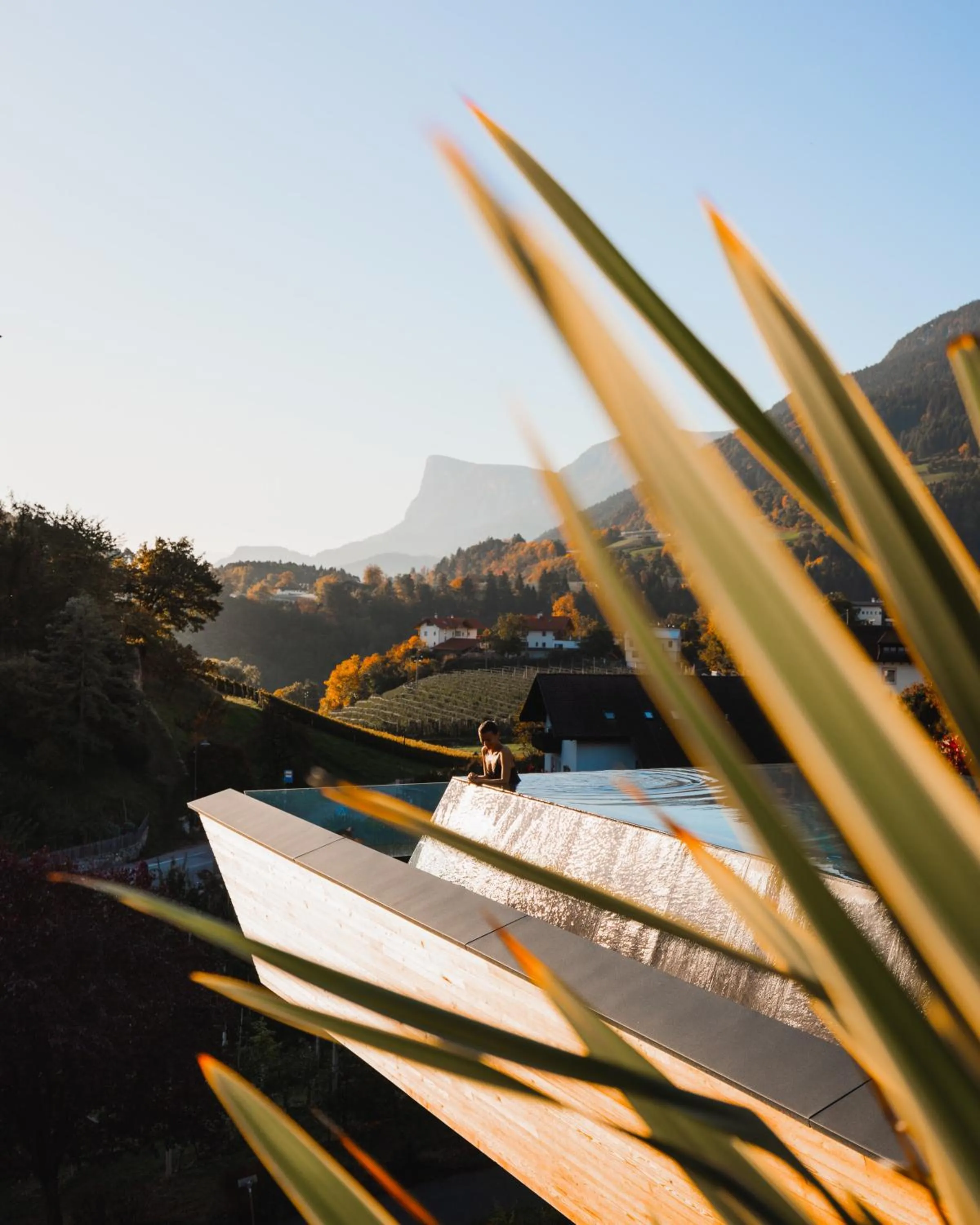 Pool view in Der Waldhof