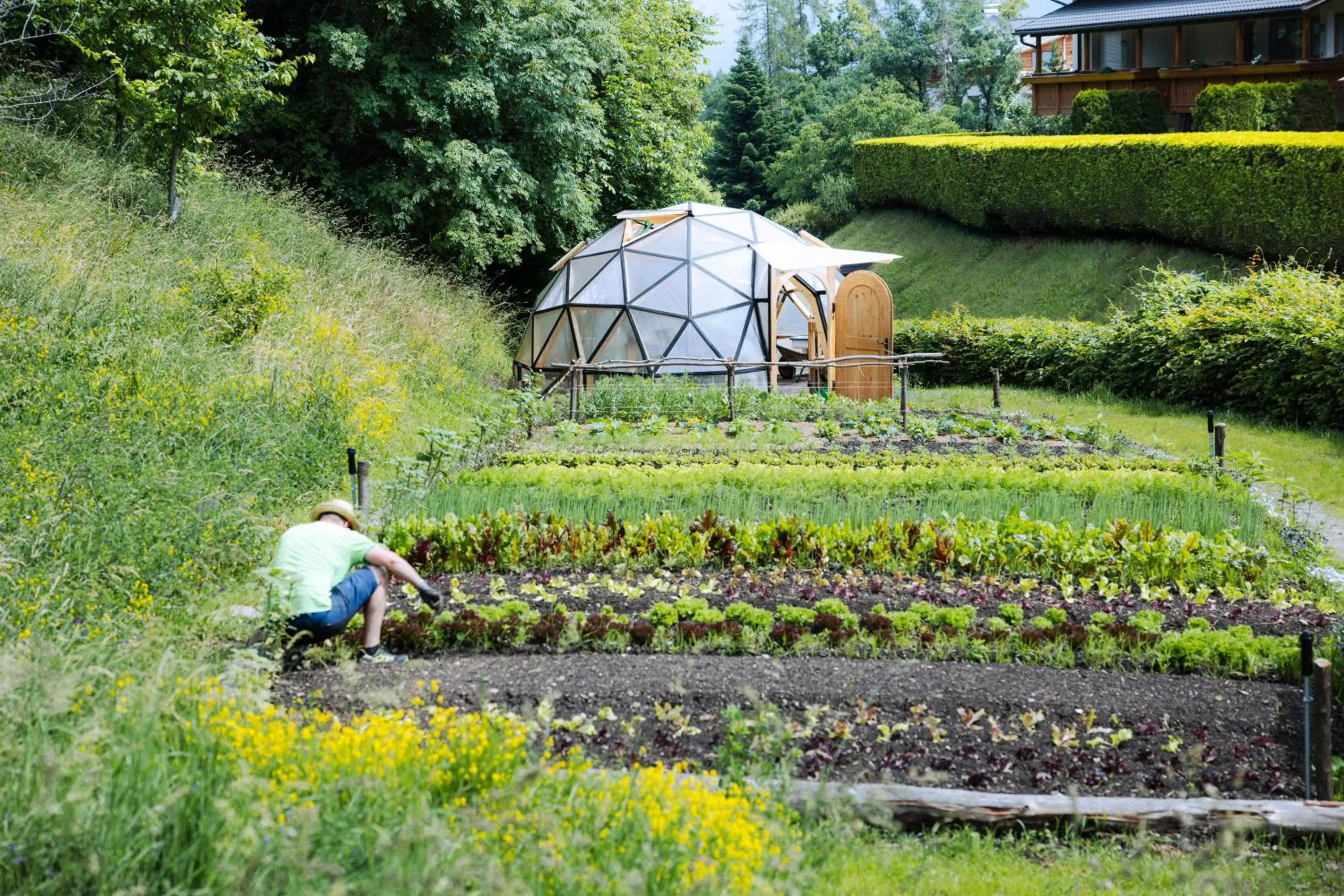 Garden in Der Waldhof