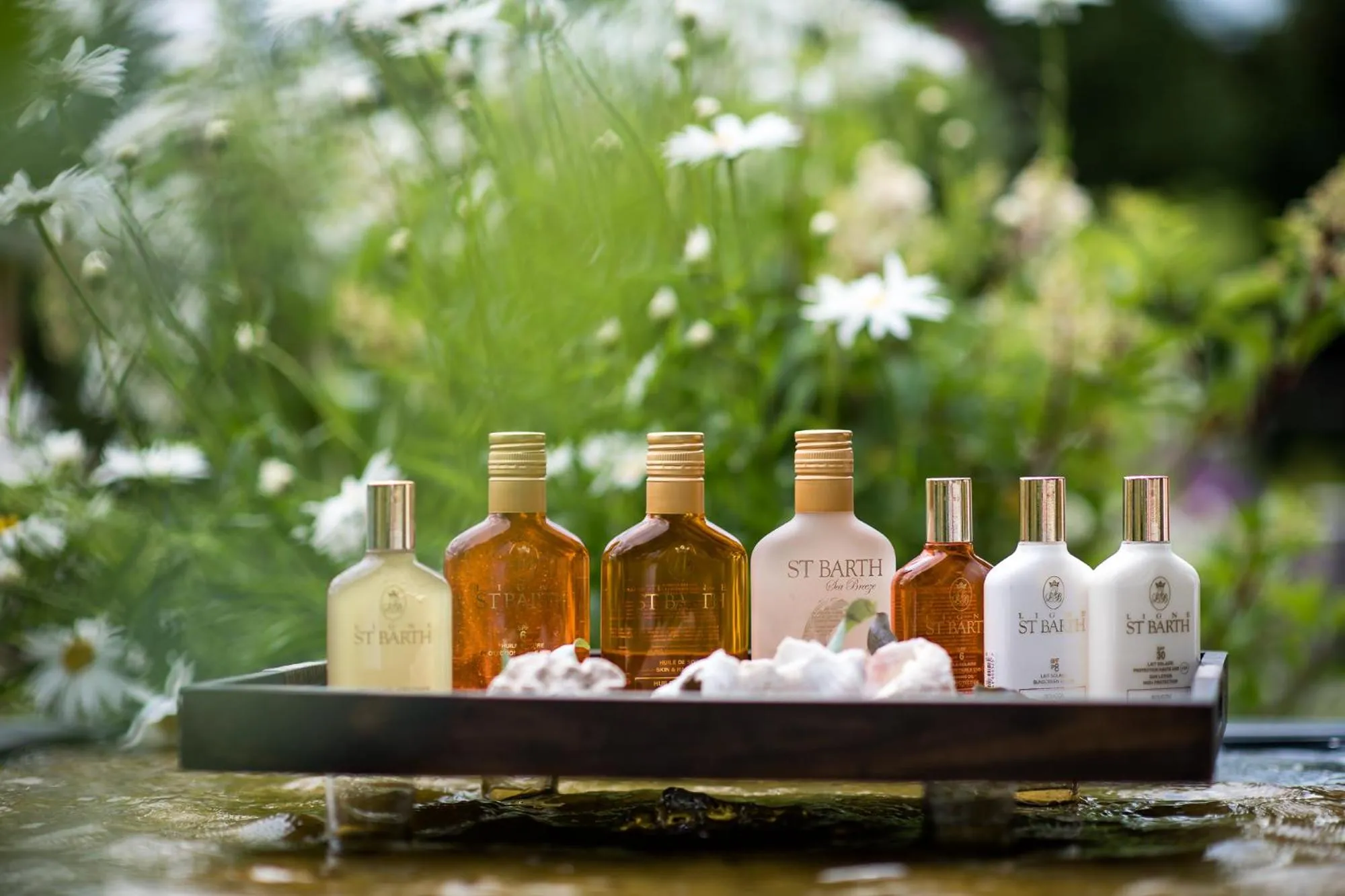 Area and facilities in Hotel Hirzer 2781