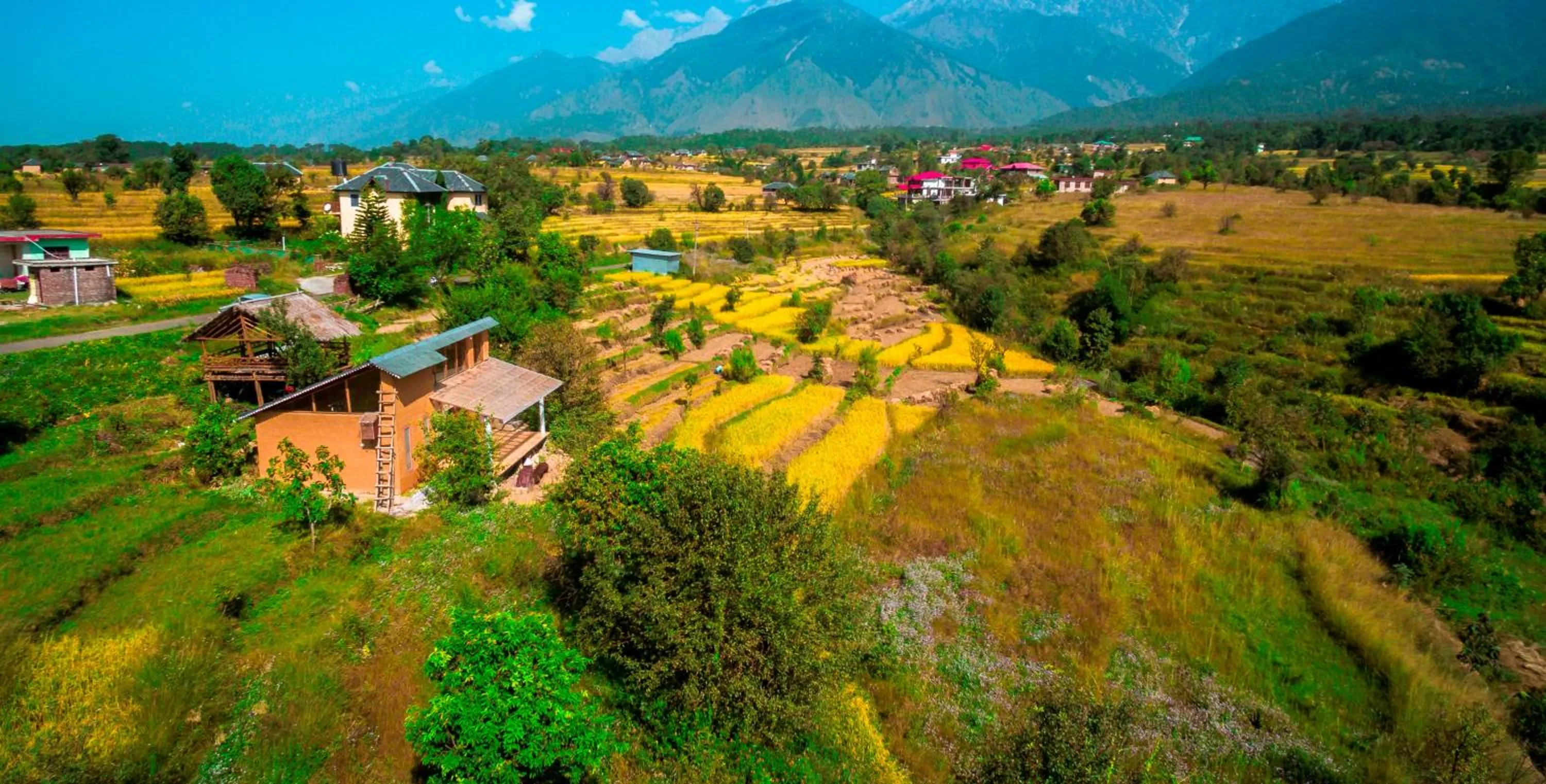 Bird's eye view in Seclude Palampur