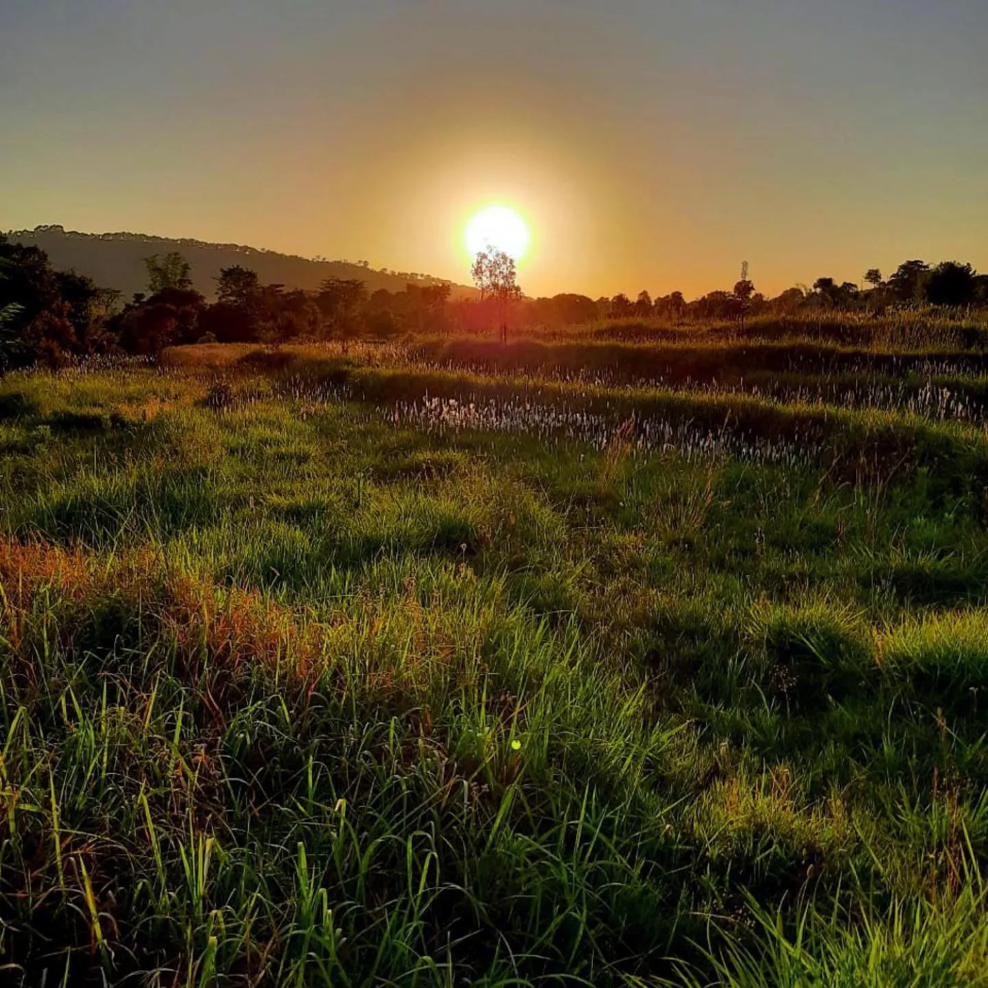 Natural landscape in Seclude Palampur