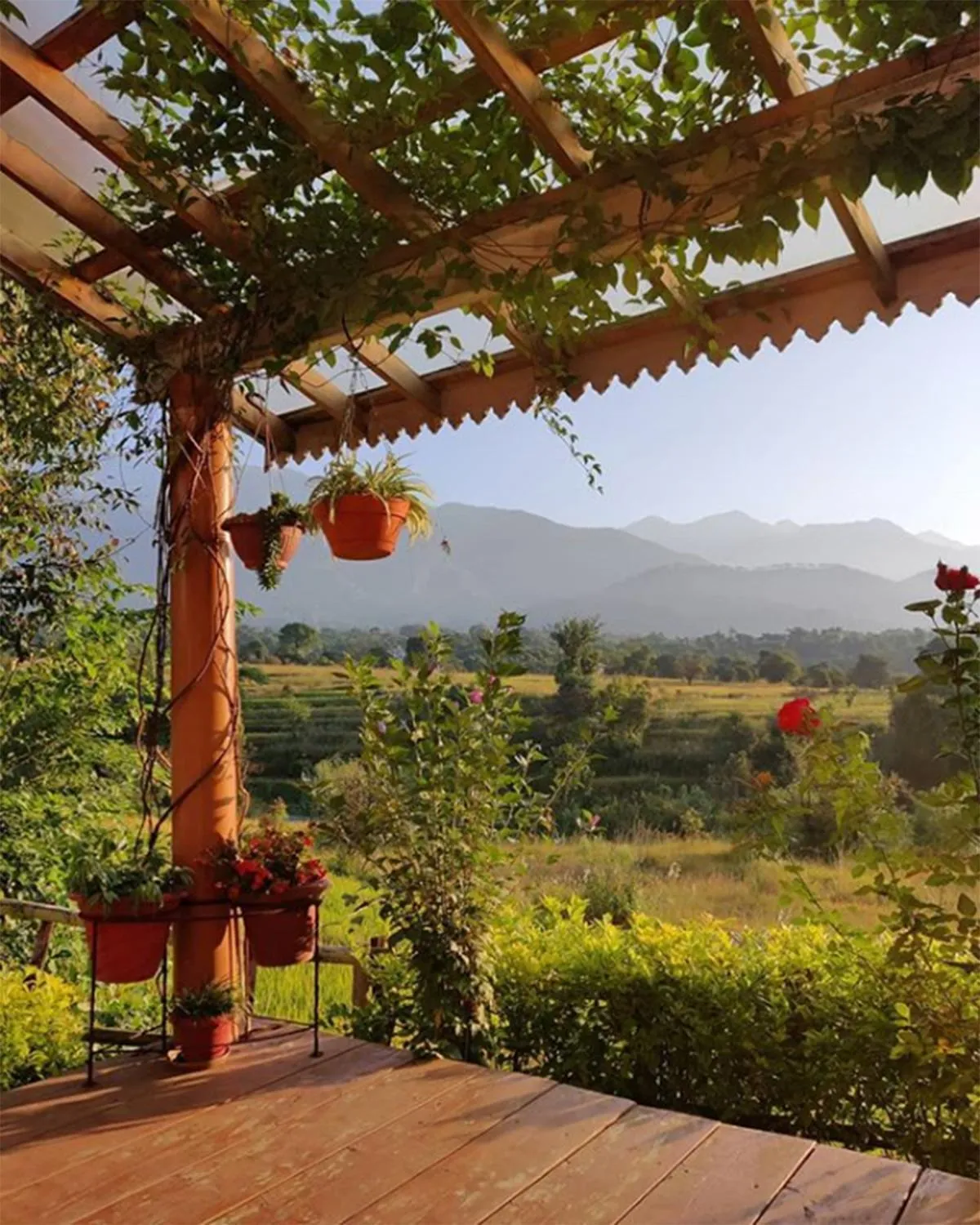 Natural landscape in Seclude Palampur