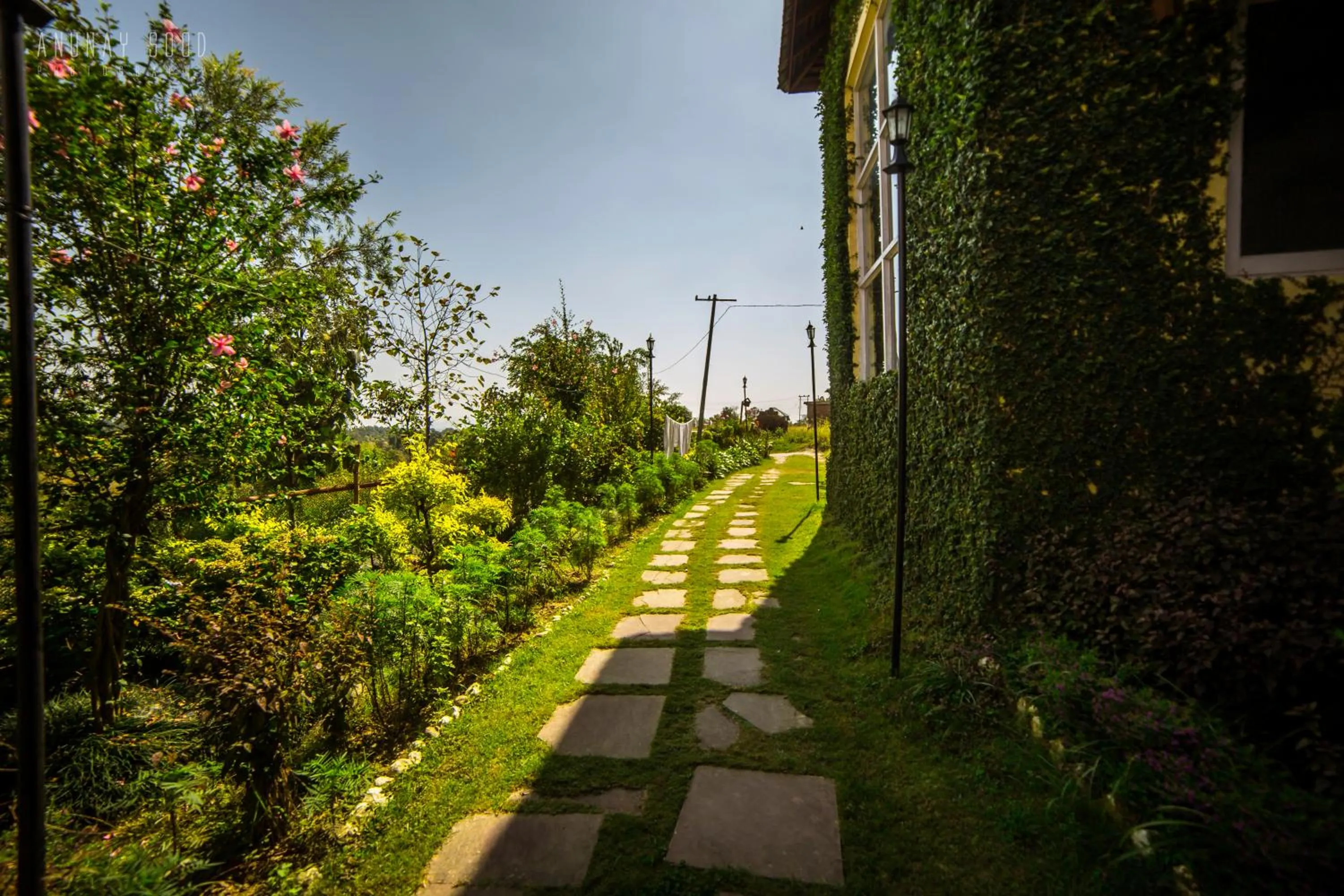 Facade/entrance in Seclude Palampur