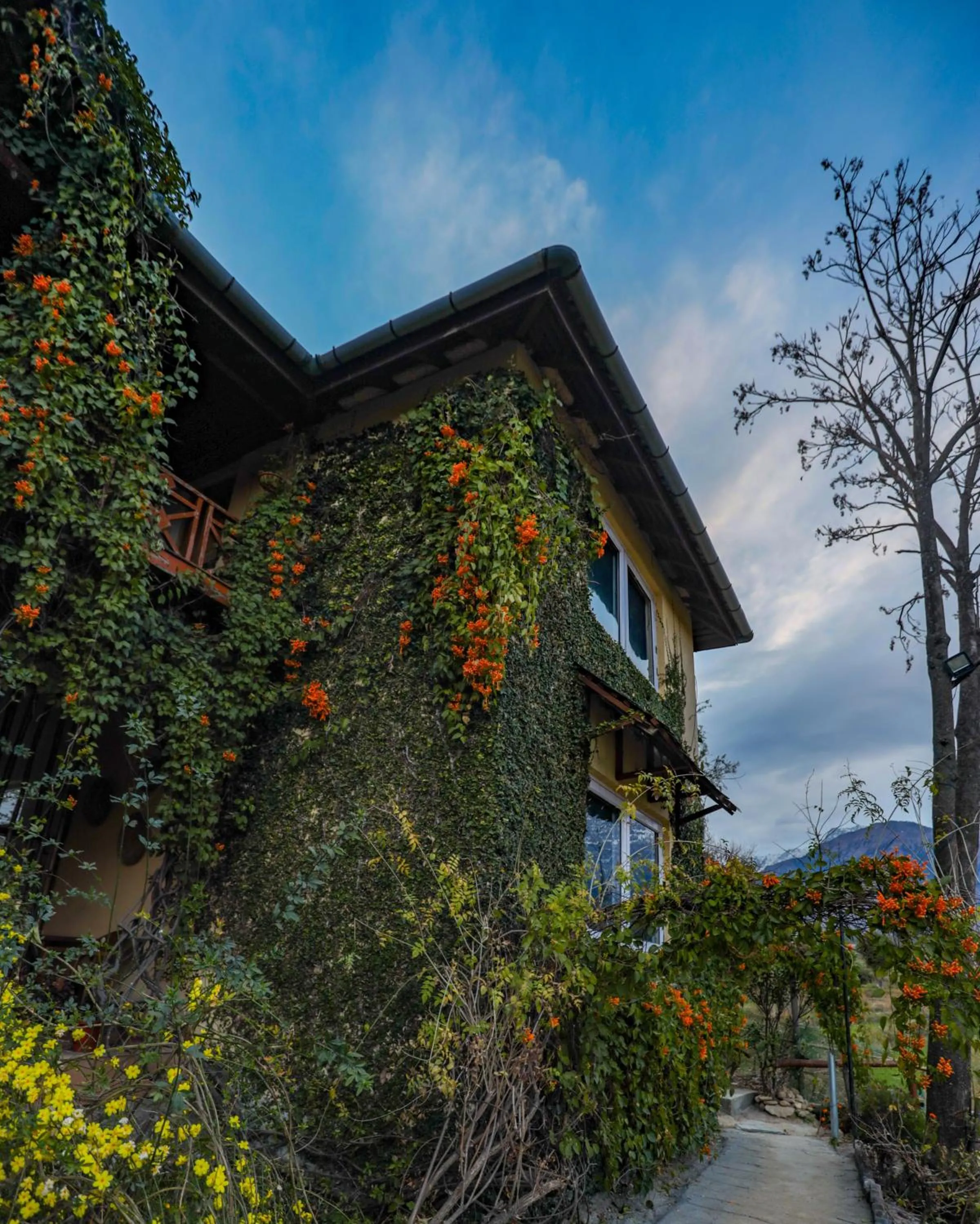 Property building in Seclude Palampur