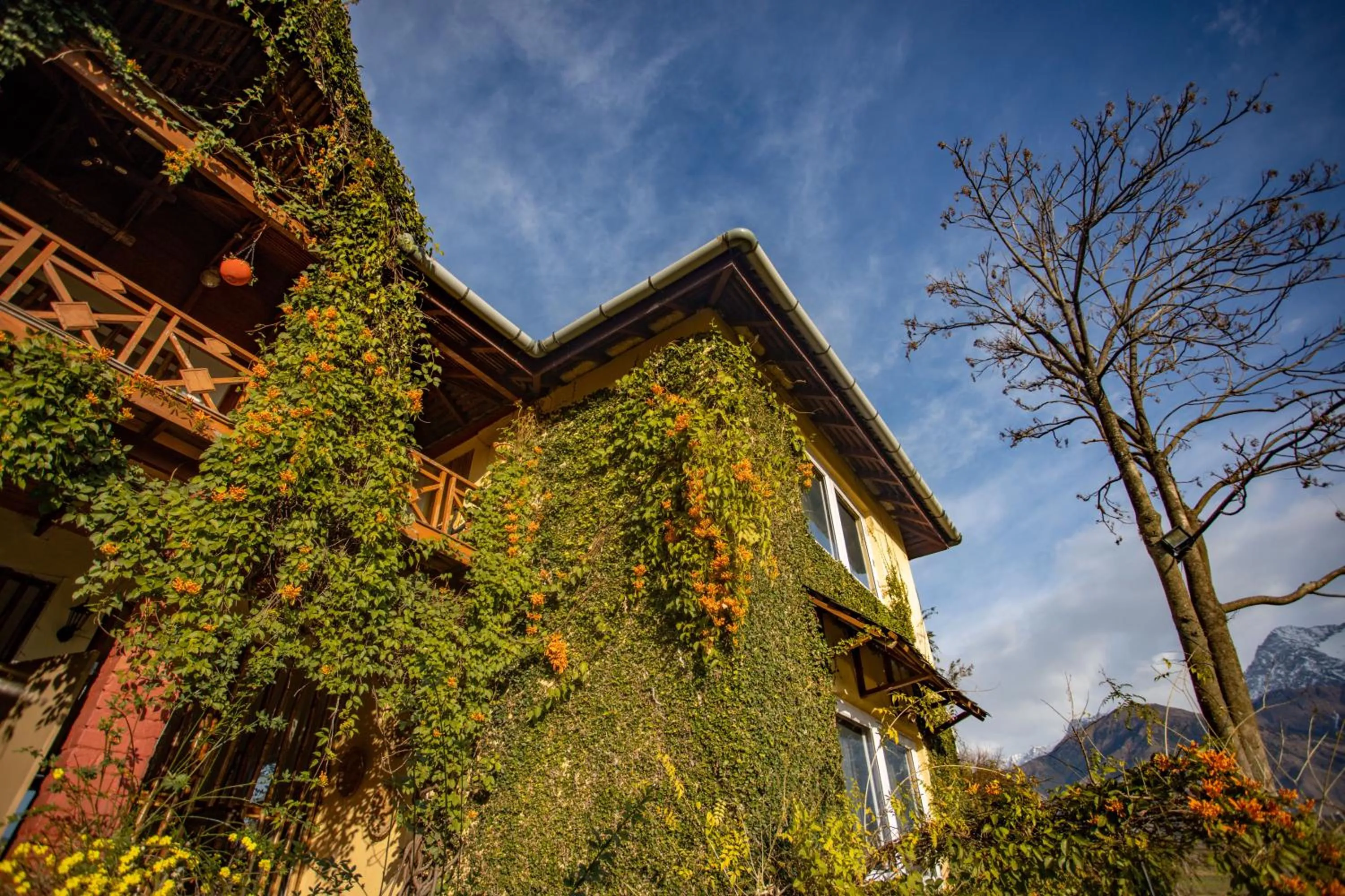 Property building in Seclude Palampur