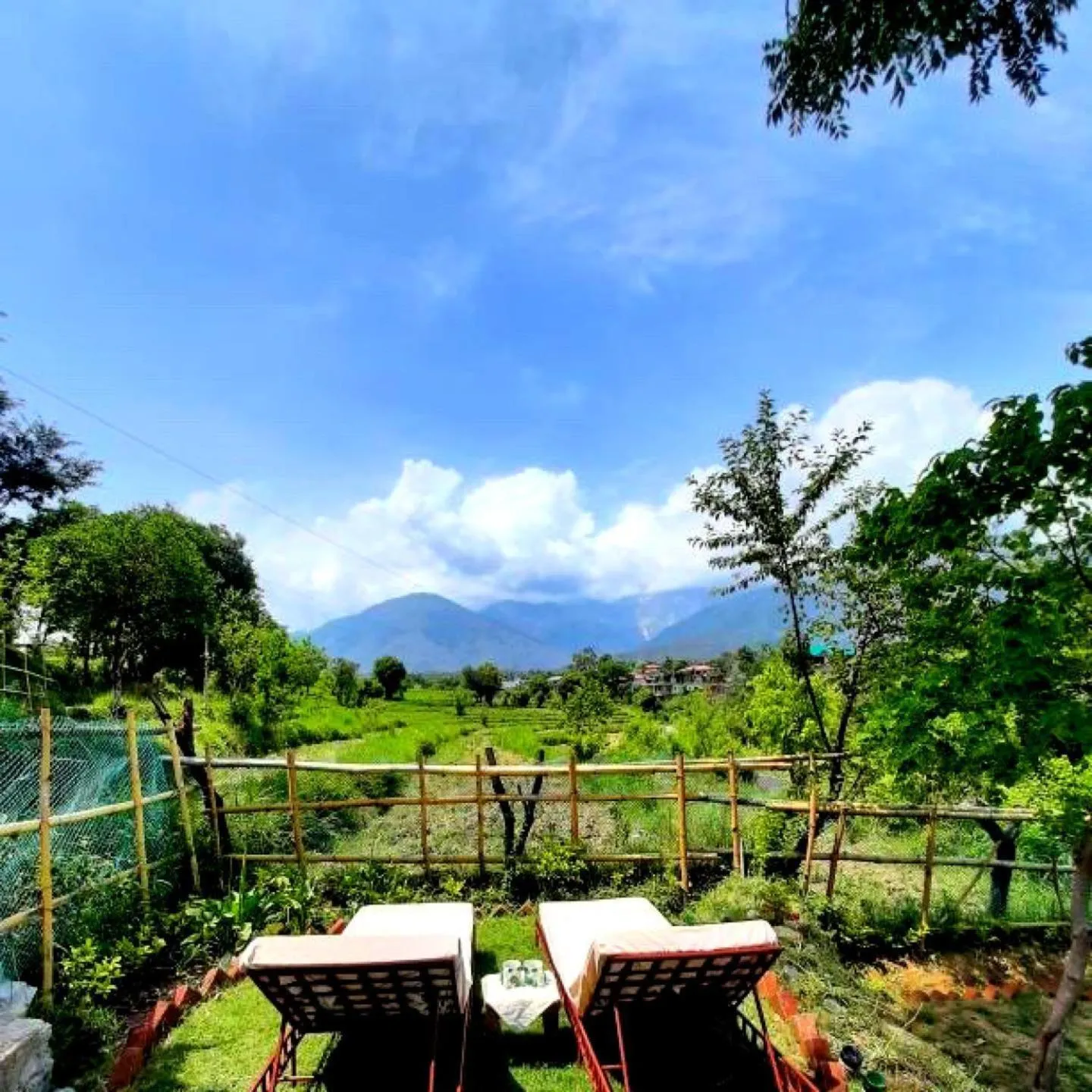 View (from property/room) in Seclude Palampur