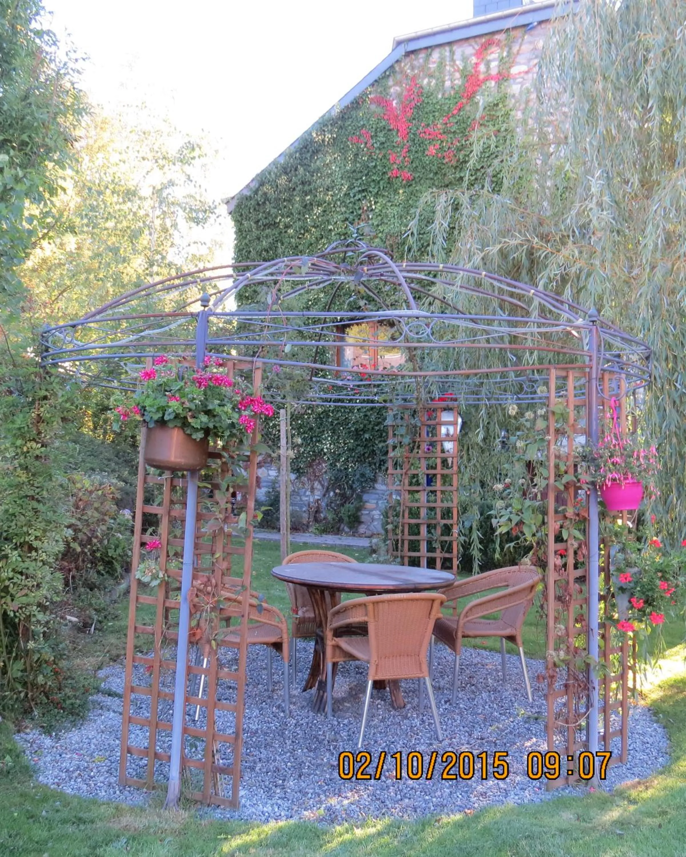 Garden in B&B Nord Sud