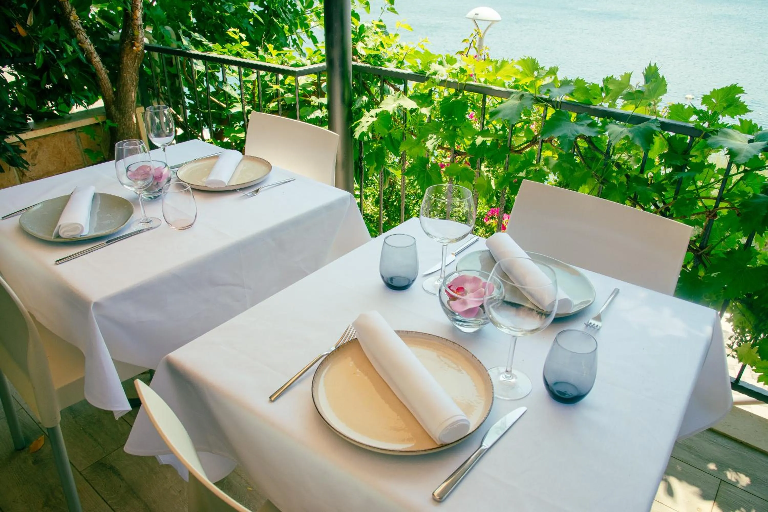 View (from property/room) in Hotel Nova