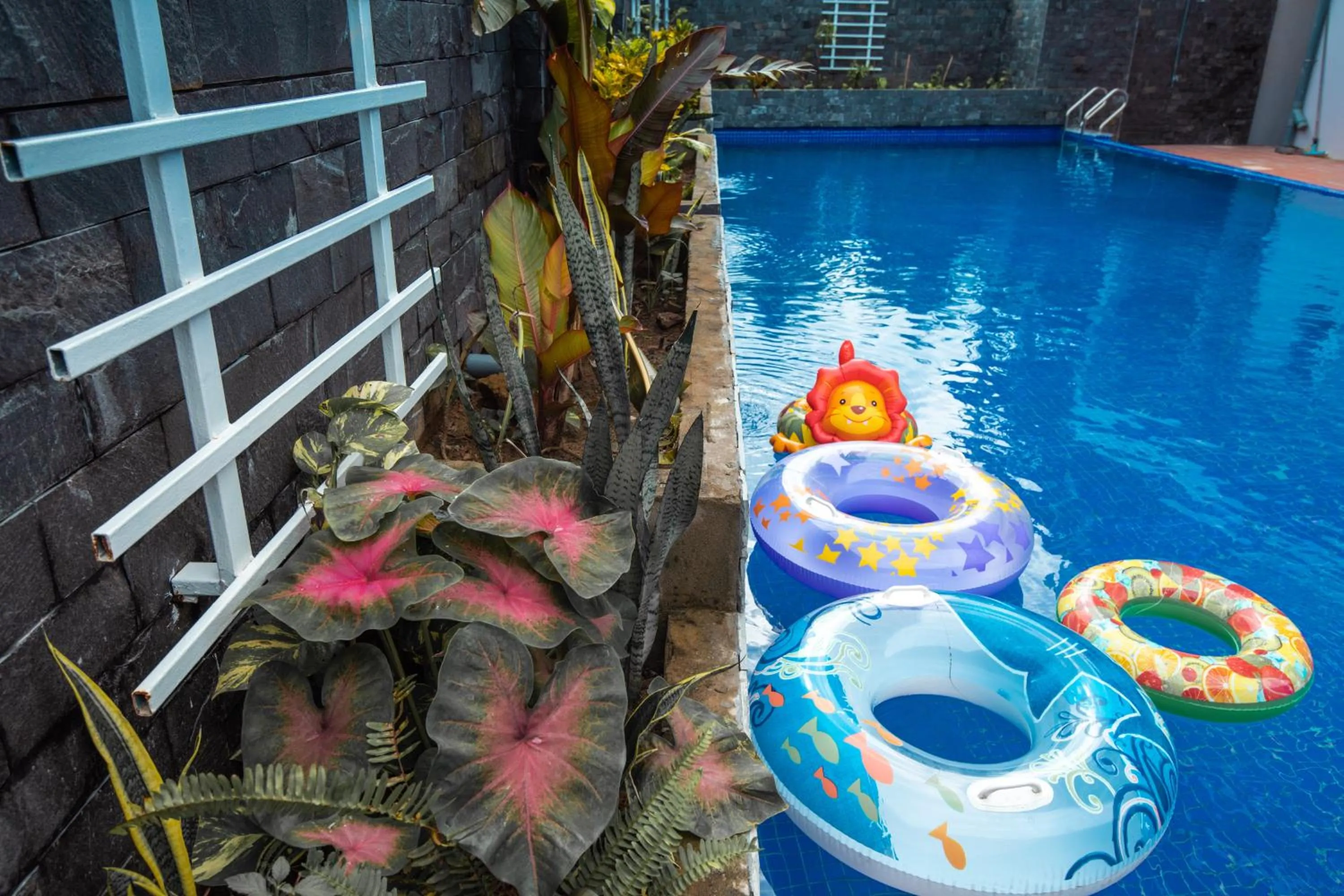 Swimming pool in Summer Dream Hotel