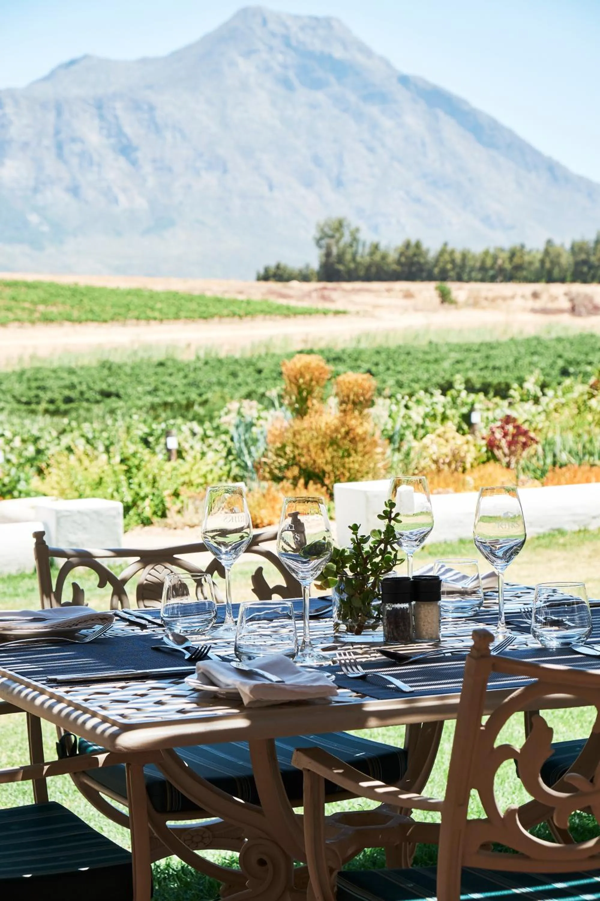 Restaurant/places to eat in Rijk's Wine Estate & Hotel