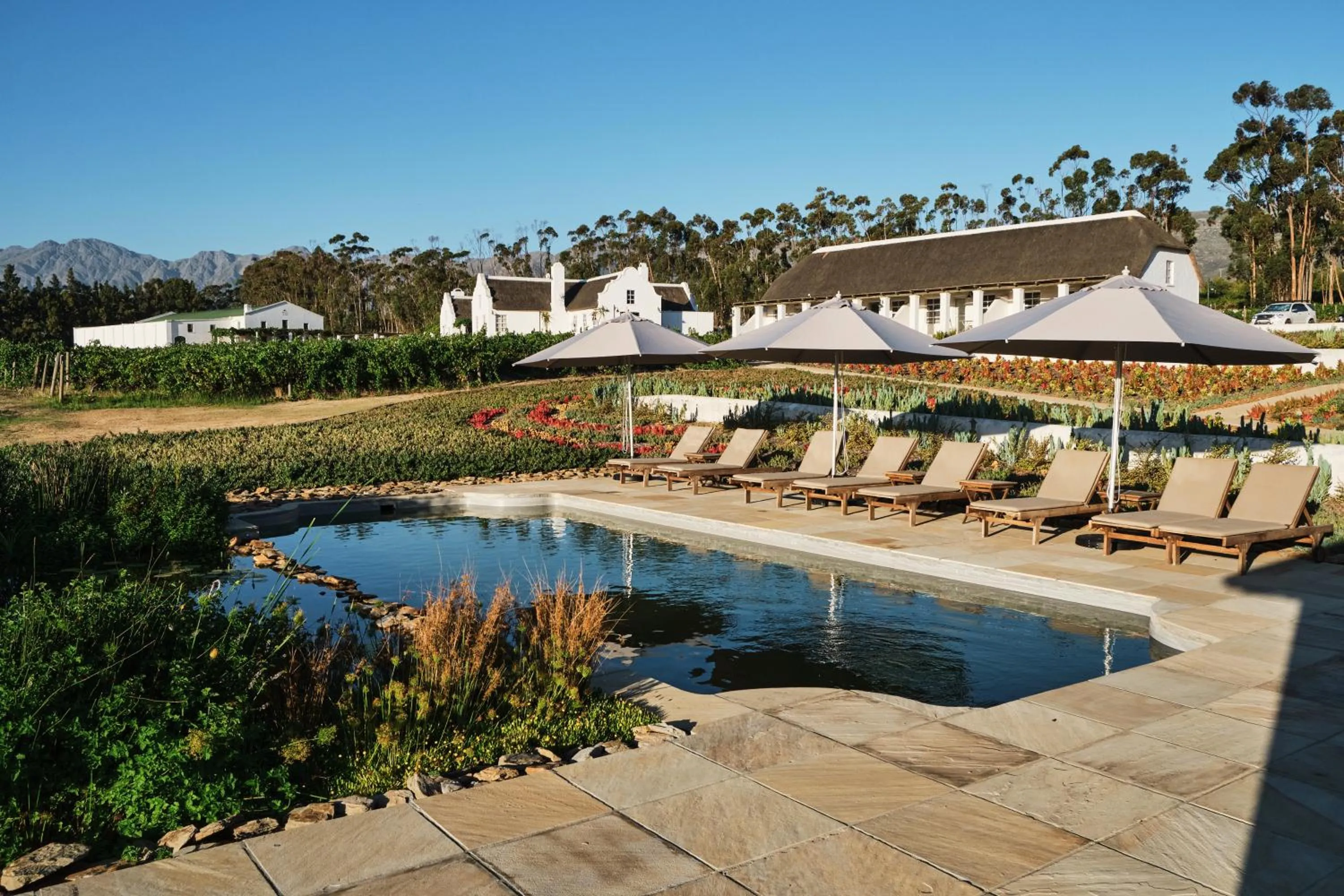 Swimming pool in Rijk's Wine Estate & Hotel