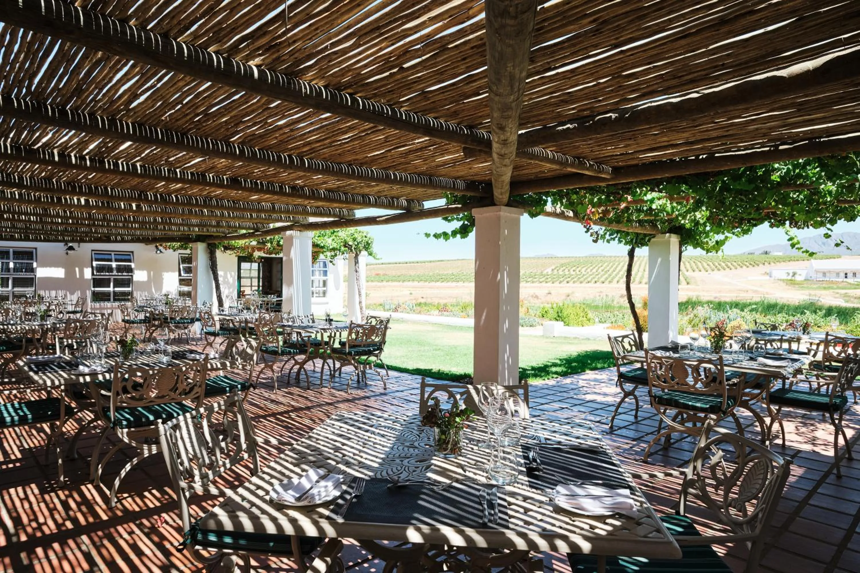 Restaurant/places to eat in Rijk's Wine Estate & Hotel