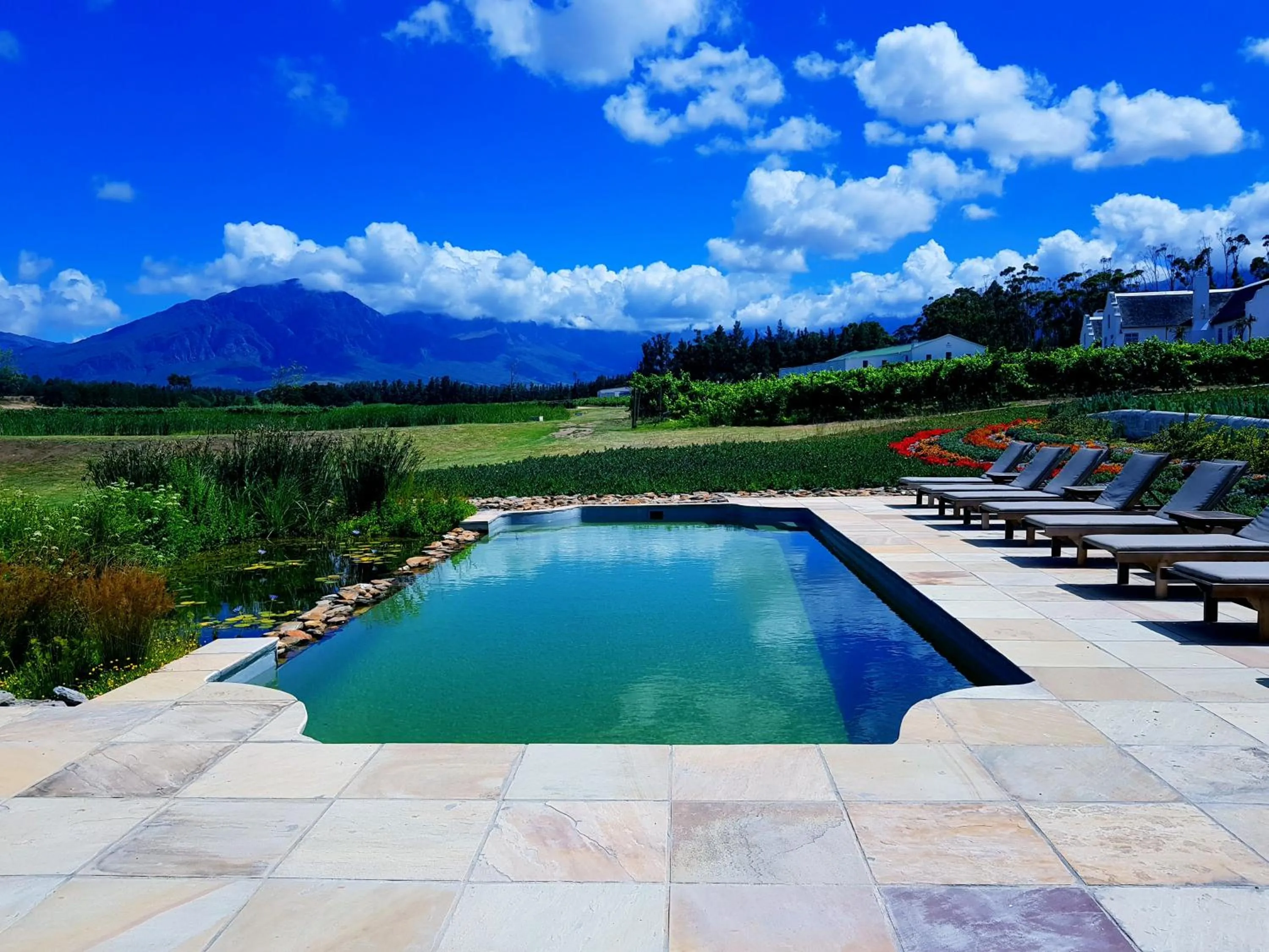 Swimming pool in Rijk's Wine Estate & Hotel