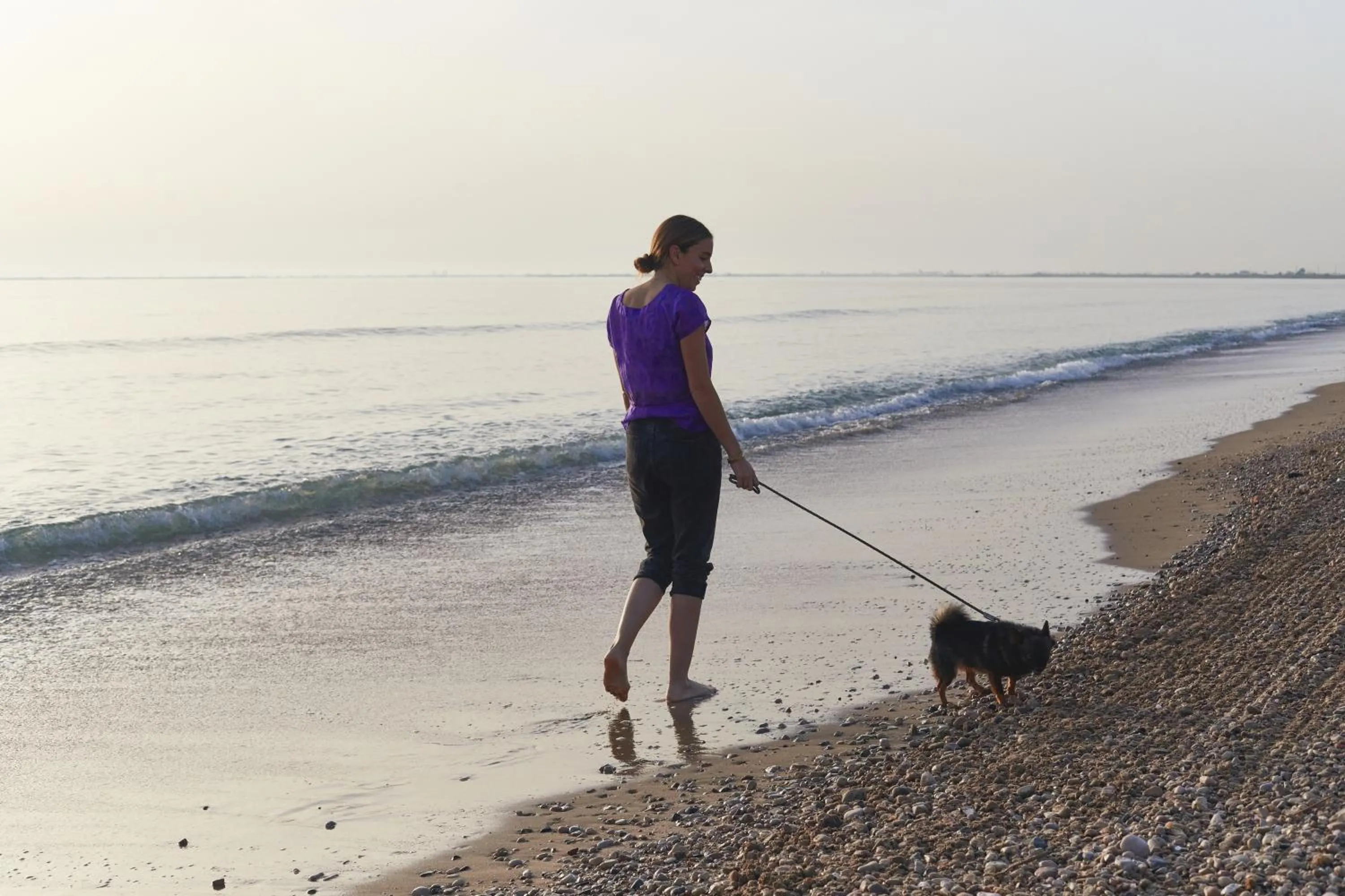 Beach in TAIGA Delta de l'Ebre