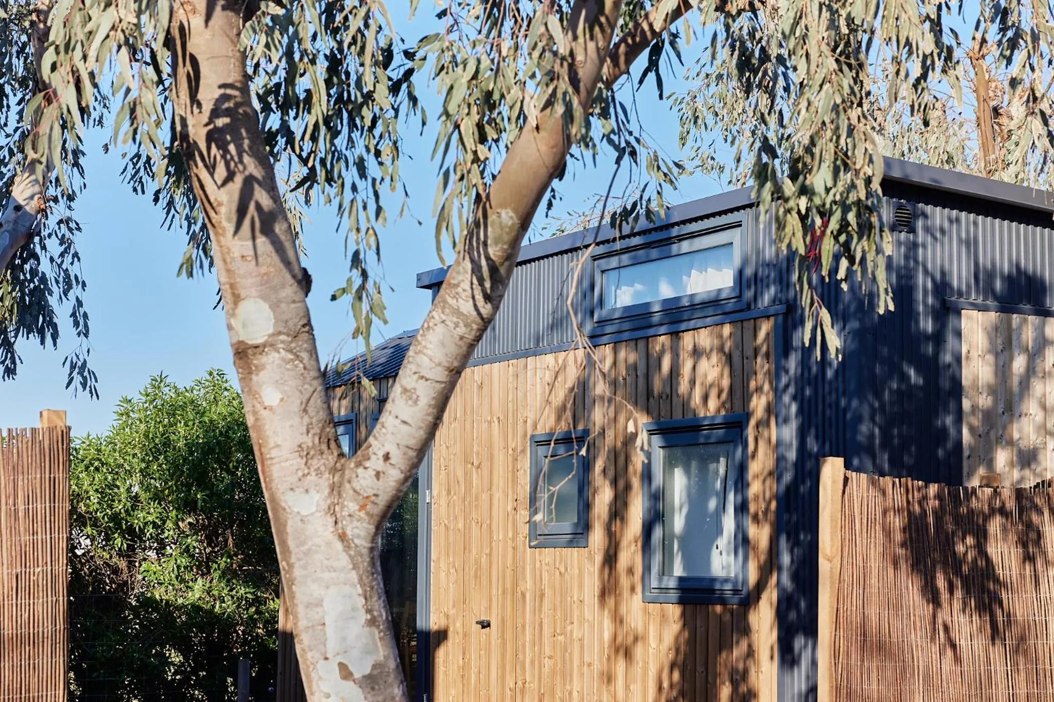 Photo of the whole room in TAIGA Delta de l'Ebre
