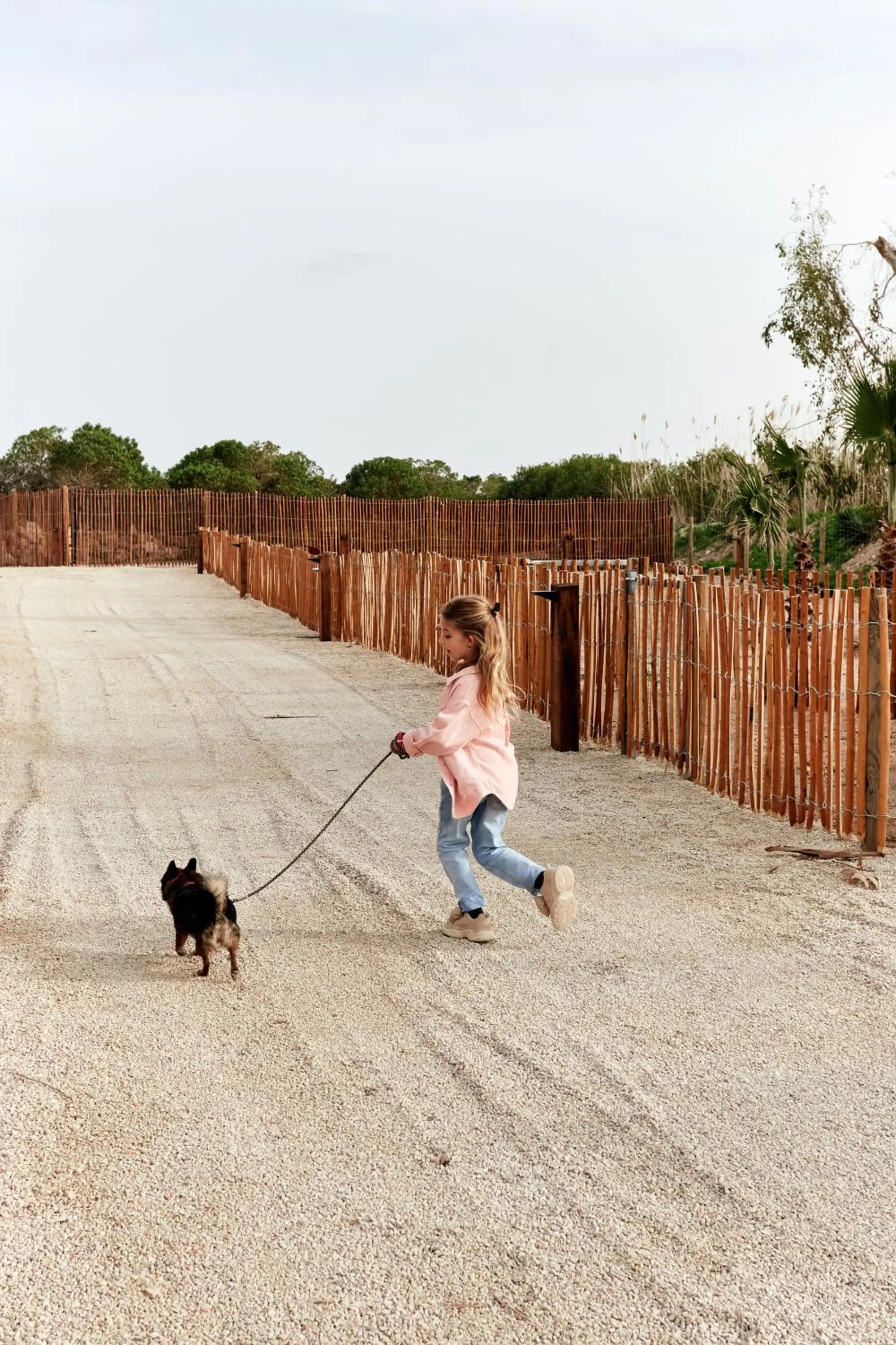 Pets in TAIGA Delta de l'Ebre