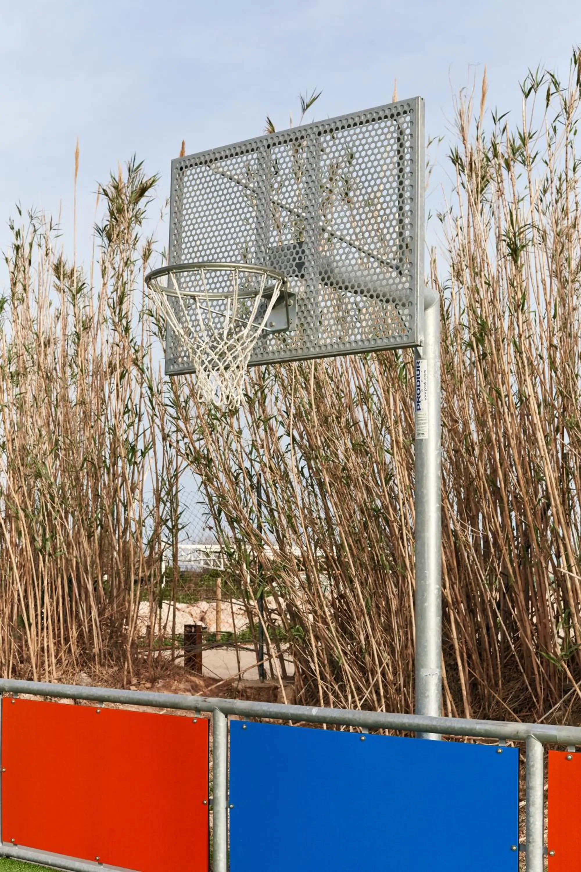 Activities in TAIGA Delta de l'Ebre