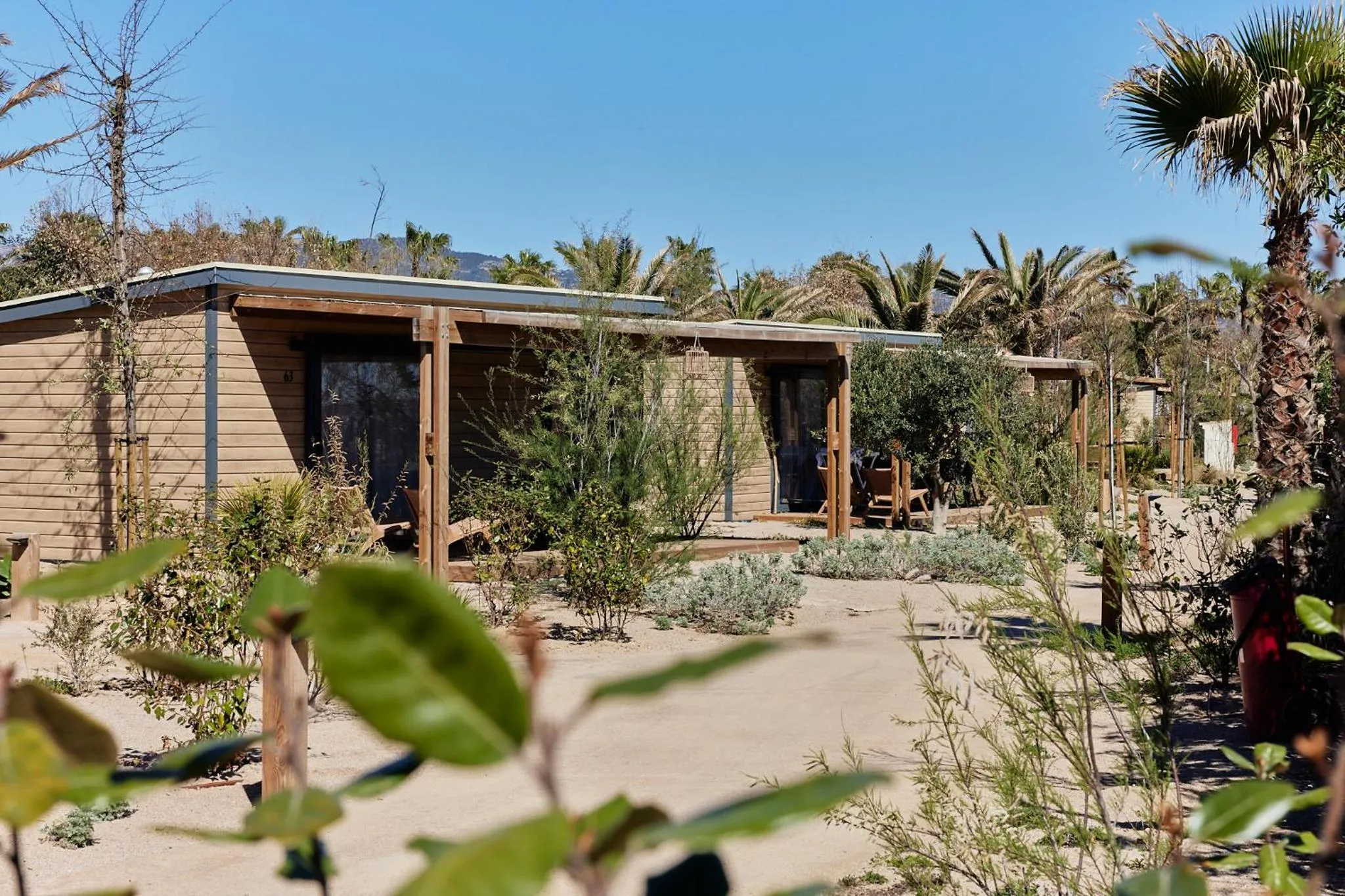 Garden view in TAIGA Delta de l'Ebre