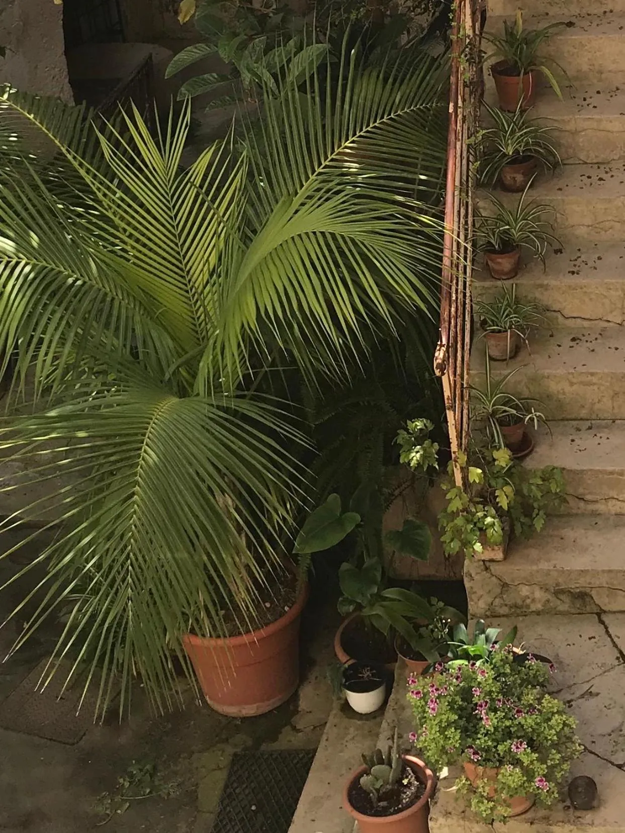 Inner courtyard view in B&B Case a San Matteo