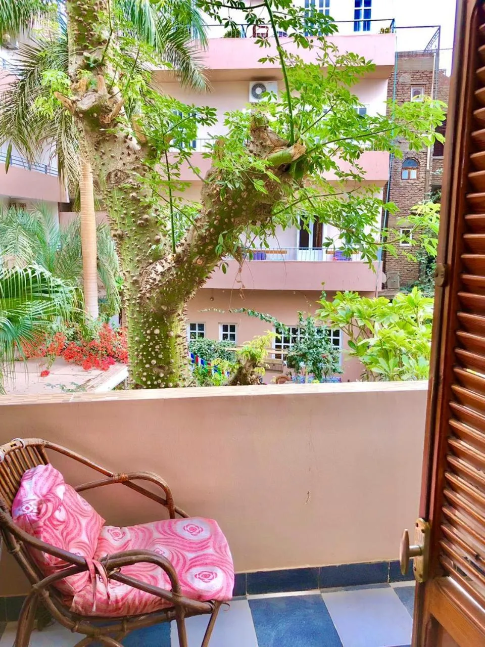 Garden view in Amon Hotel