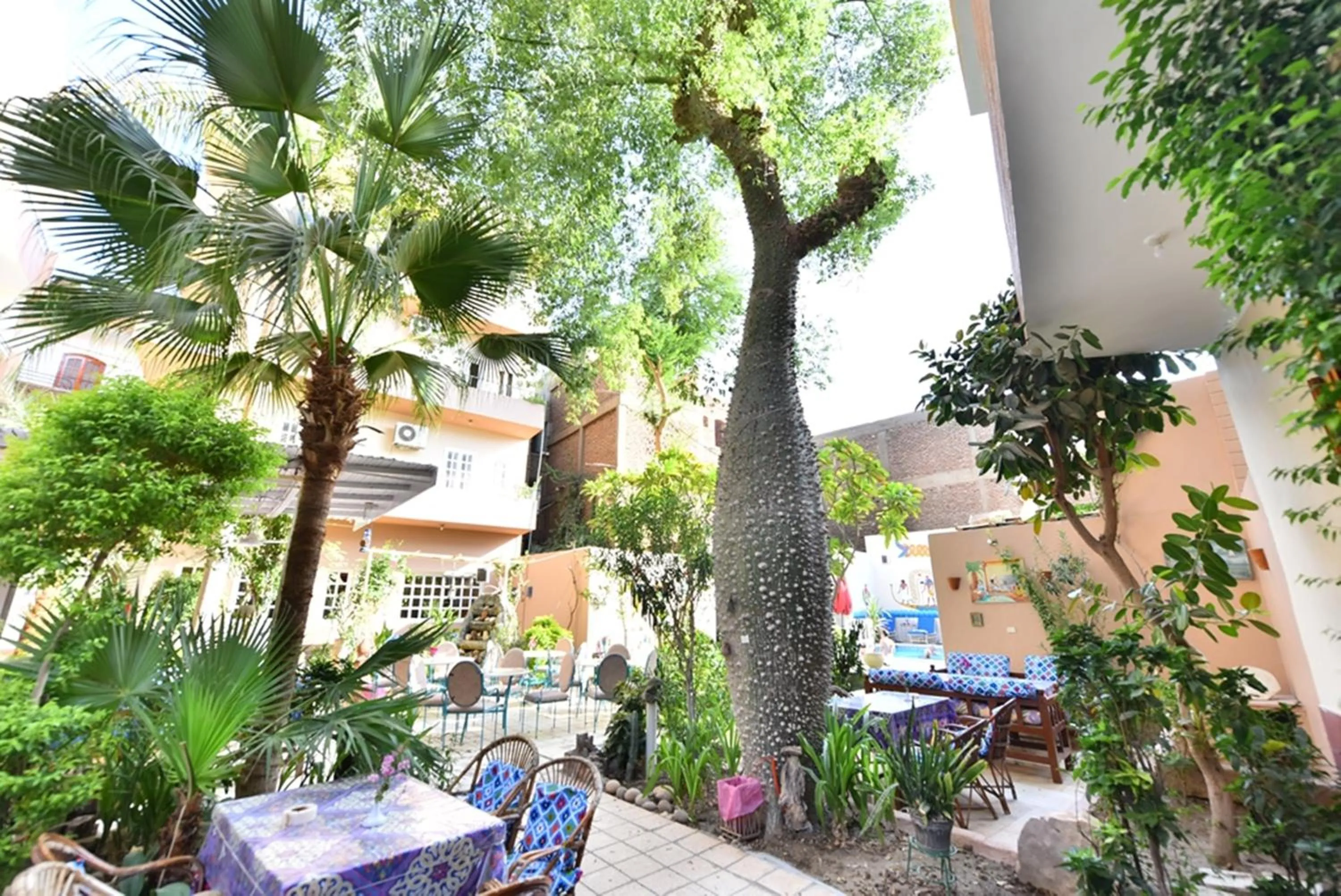 Garden view in Amon Hotel