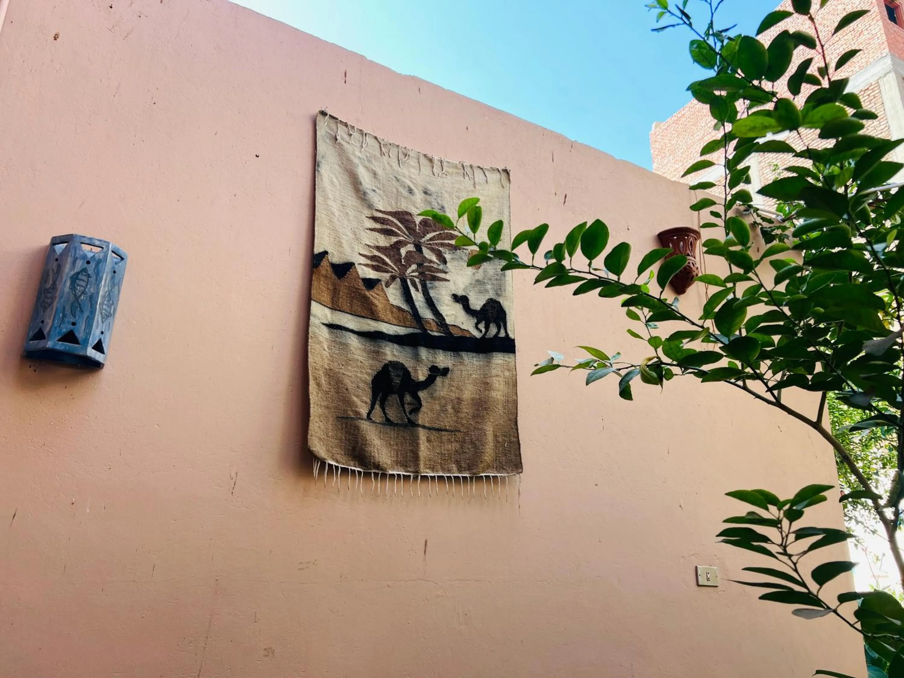 Garden in Amon Hotel