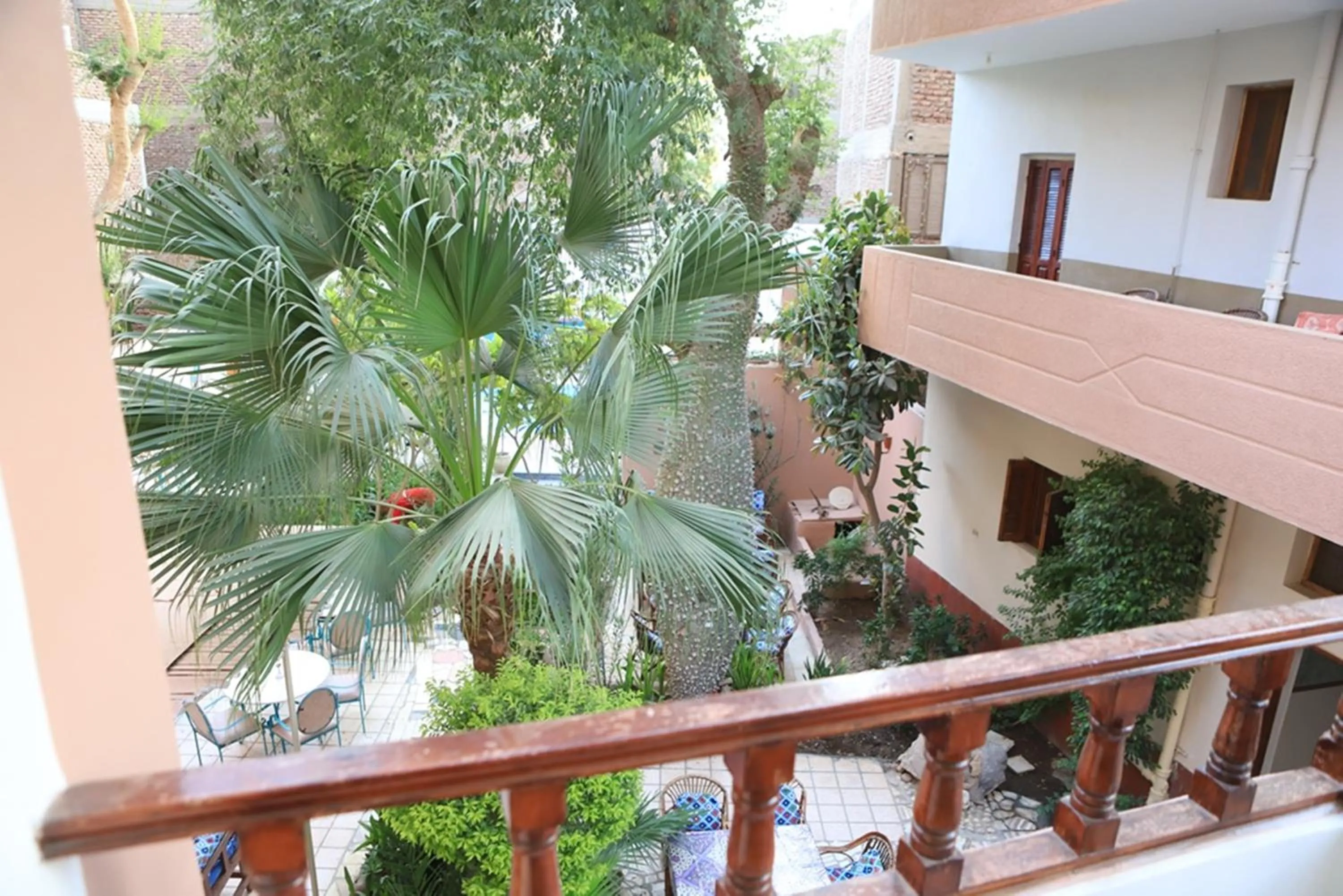 Garden view in Amon Hotel