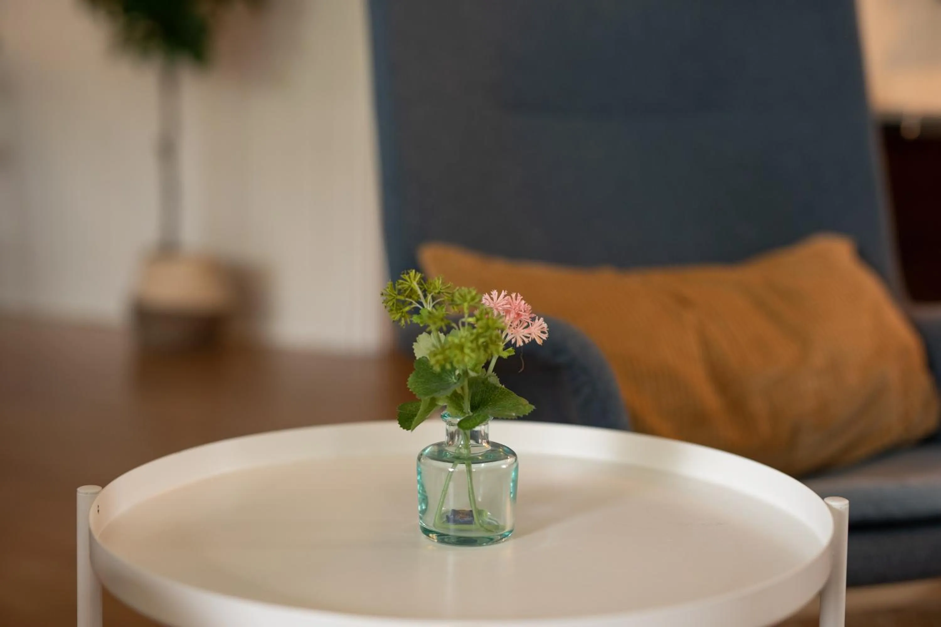 Communal lounge/ TV room in Bonnie View Inn