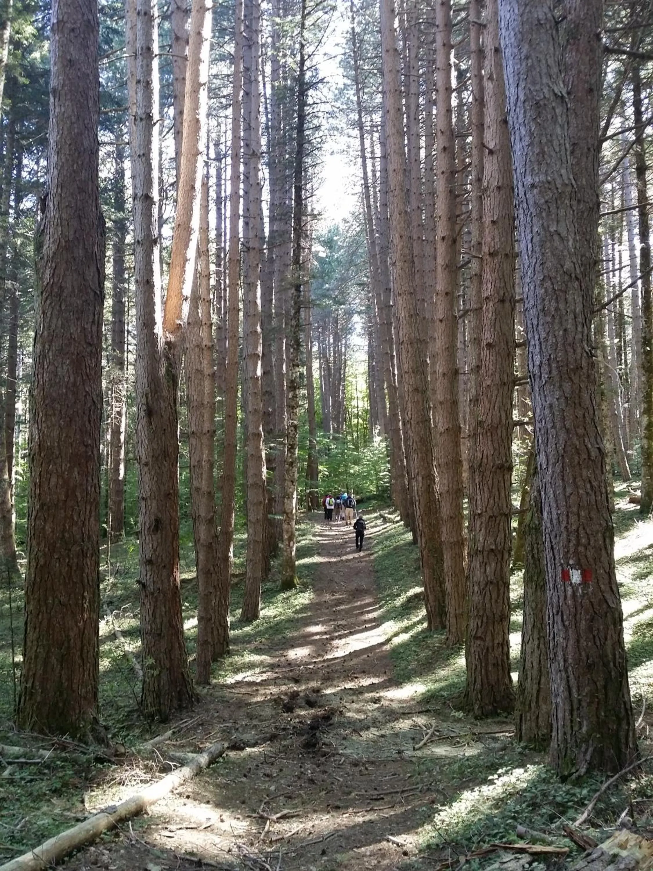Spring in B&B Casa Laganà