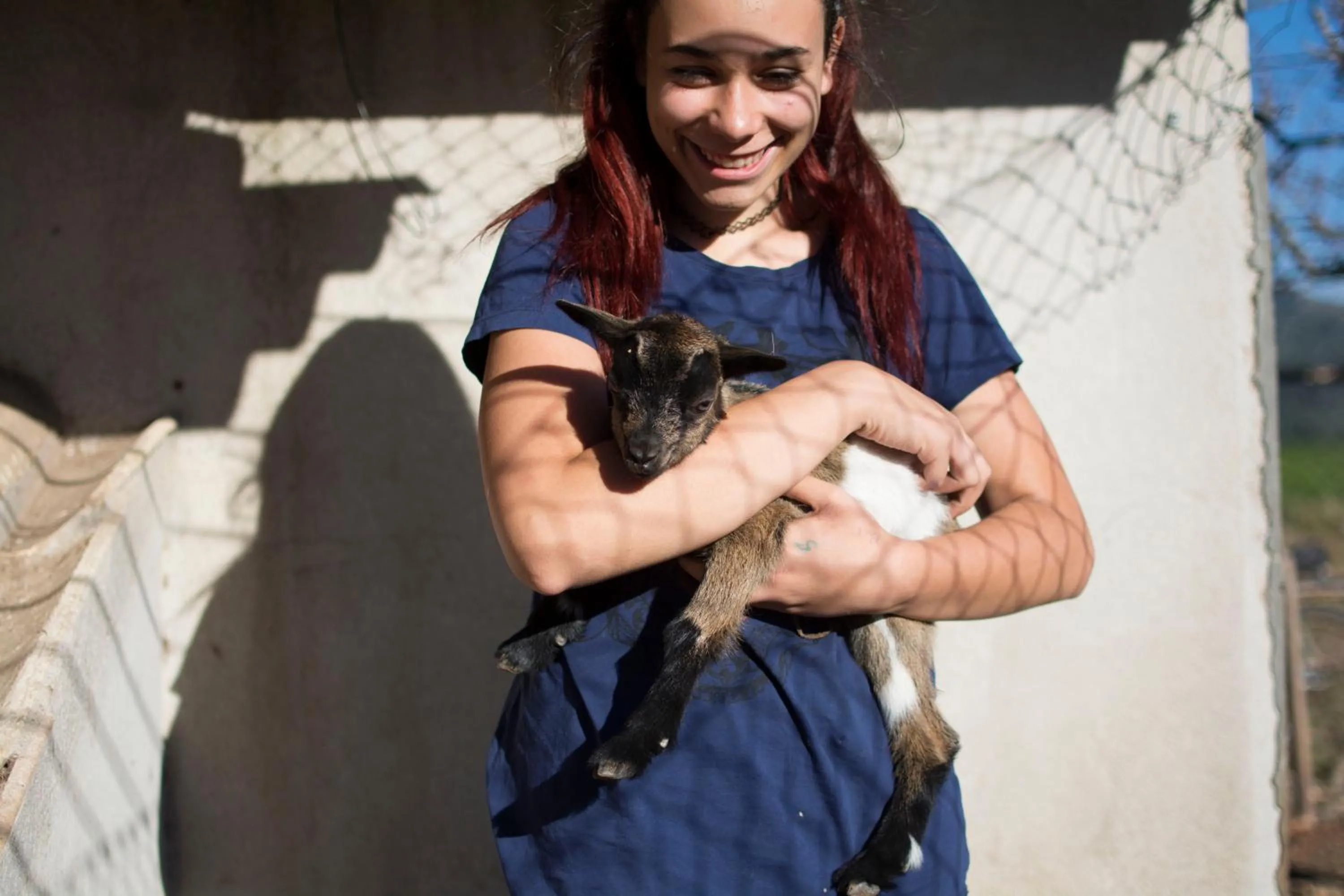 Animals in Mas Taniet Hotel Rural