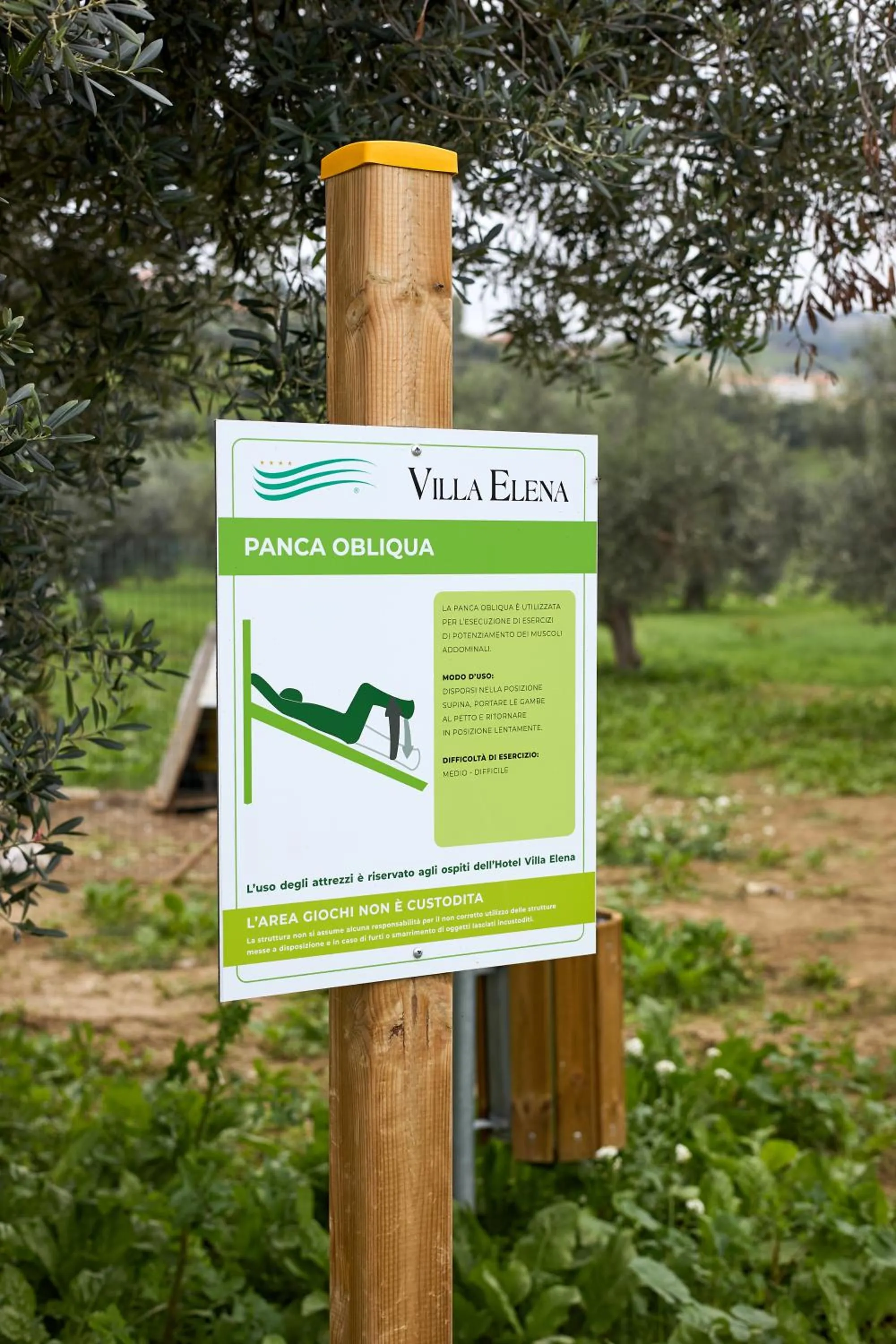 Garden in Hotel Villa Elena