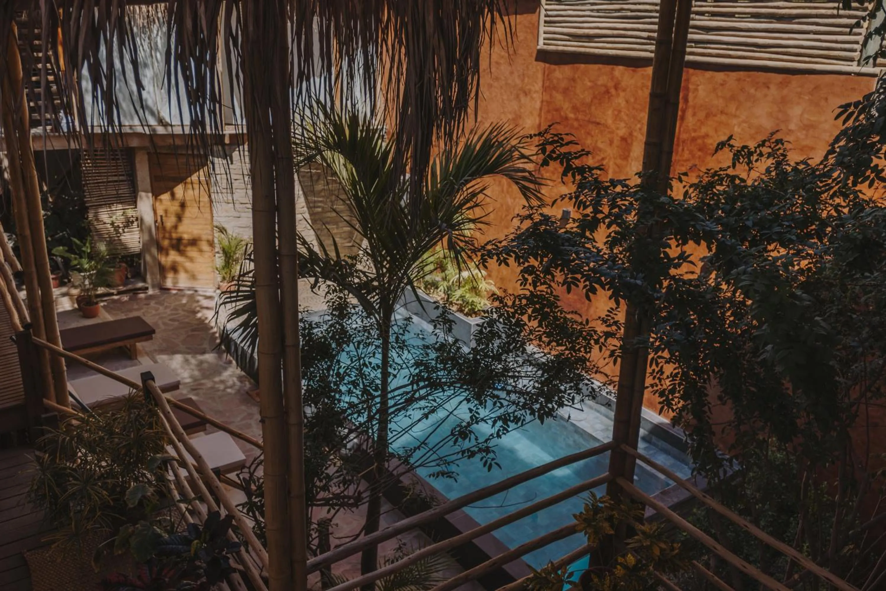 Garden view in Eco Lodge Mancora