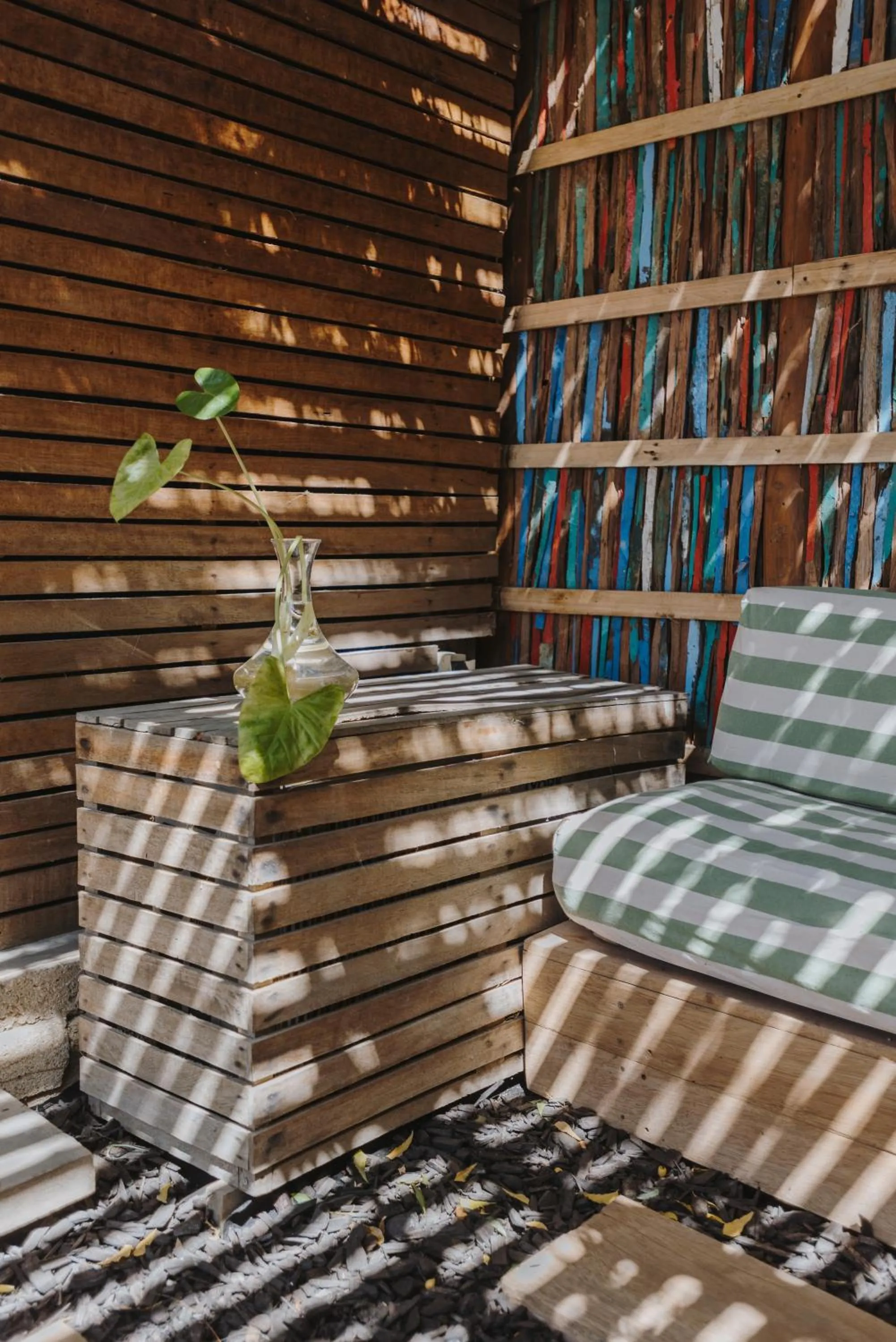 Garden in Eco Lodge Mancora