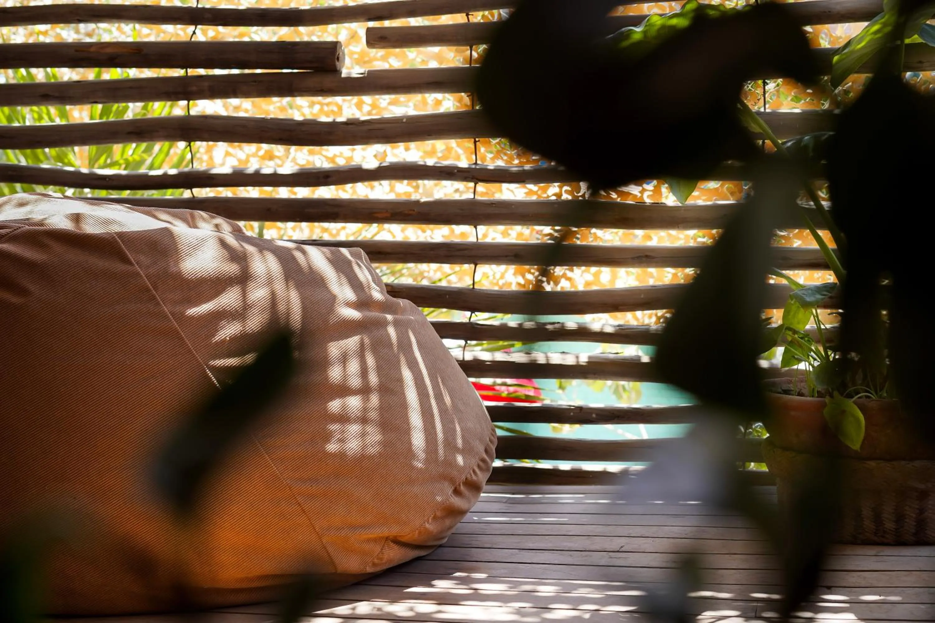 Day in Eco Lodge Mancora