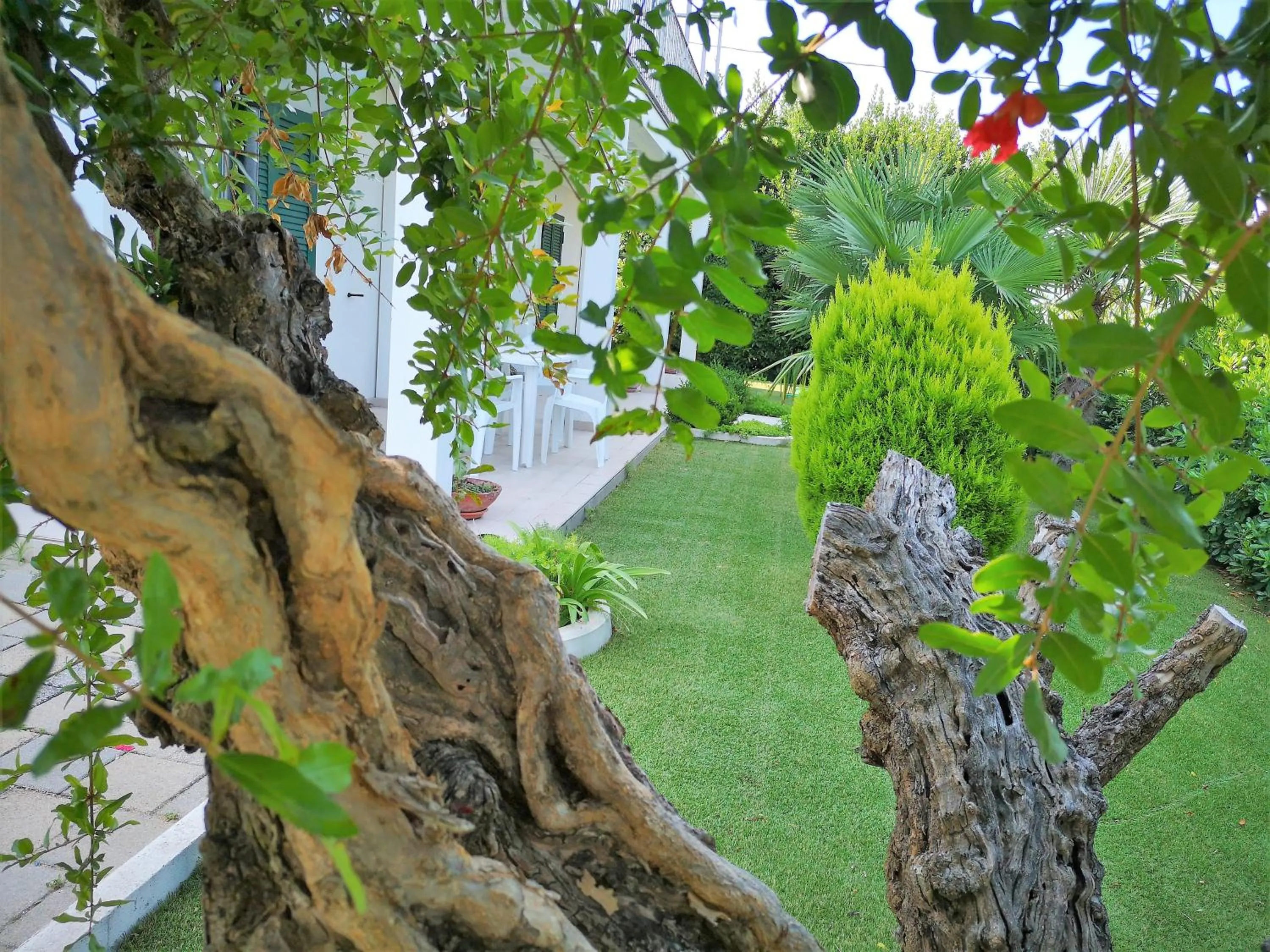 Property building in B&B Dimora ROSSIPINTI