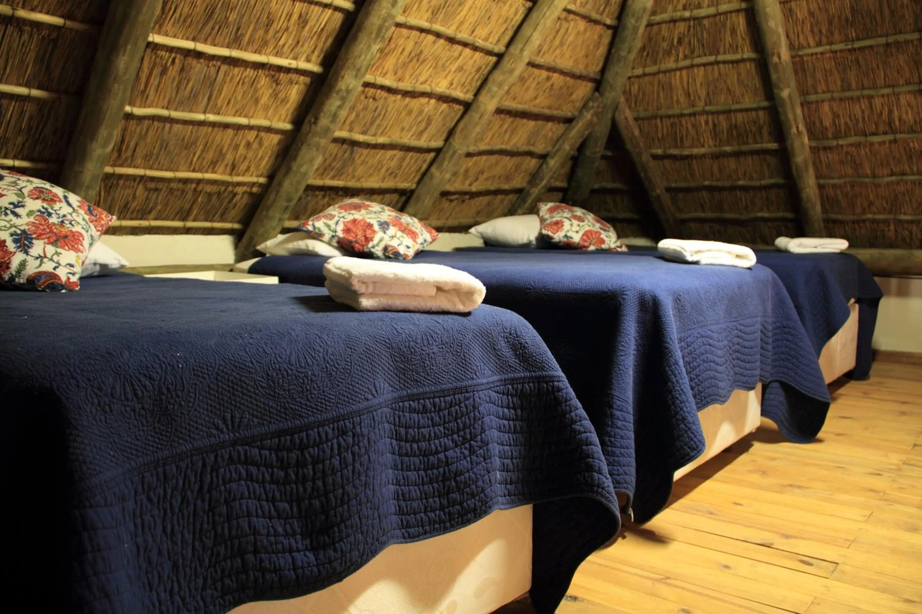 Bed in Tantebane Game Ranch