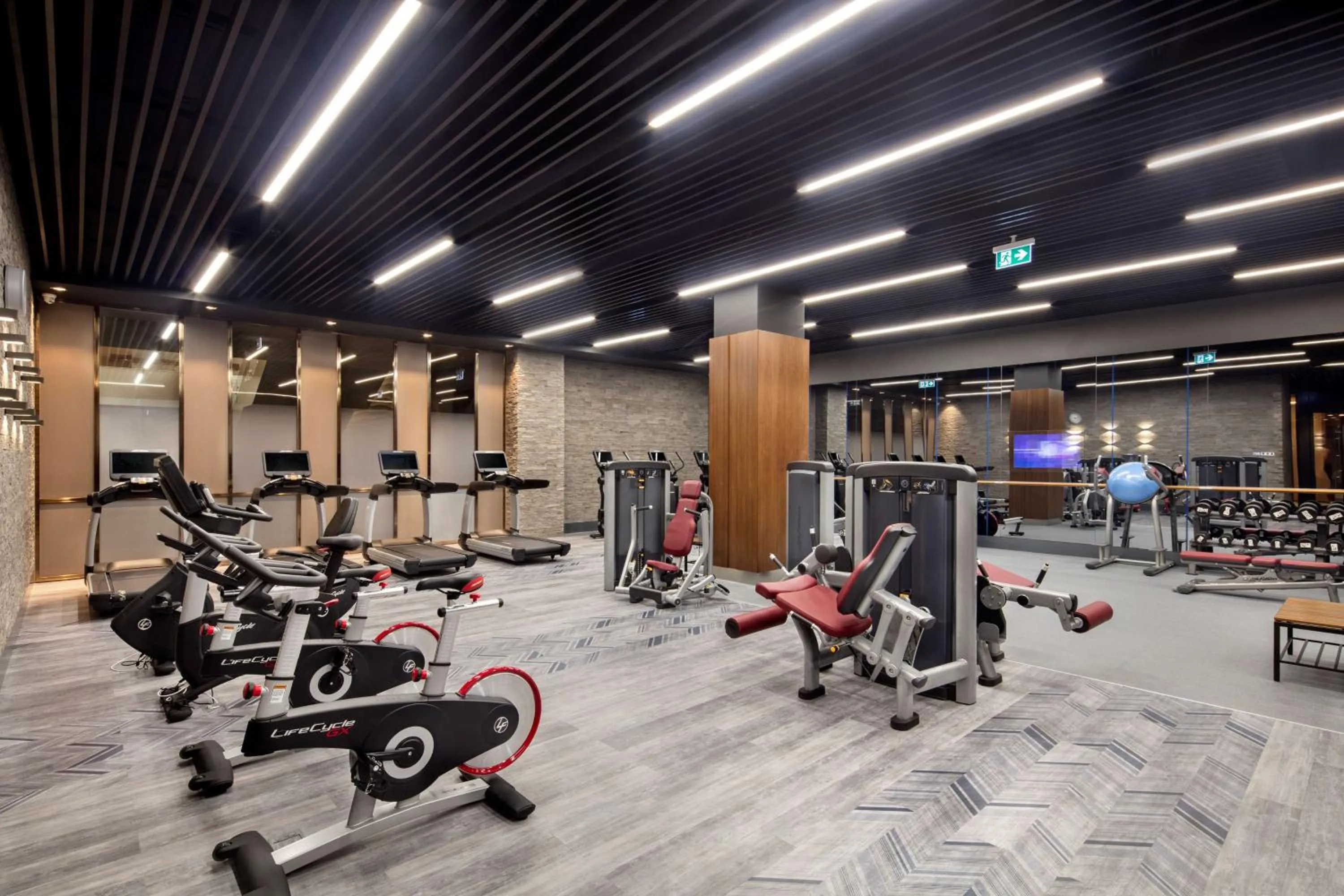 Fitness centre/facilities in DoubleTree By Hilton Skopje