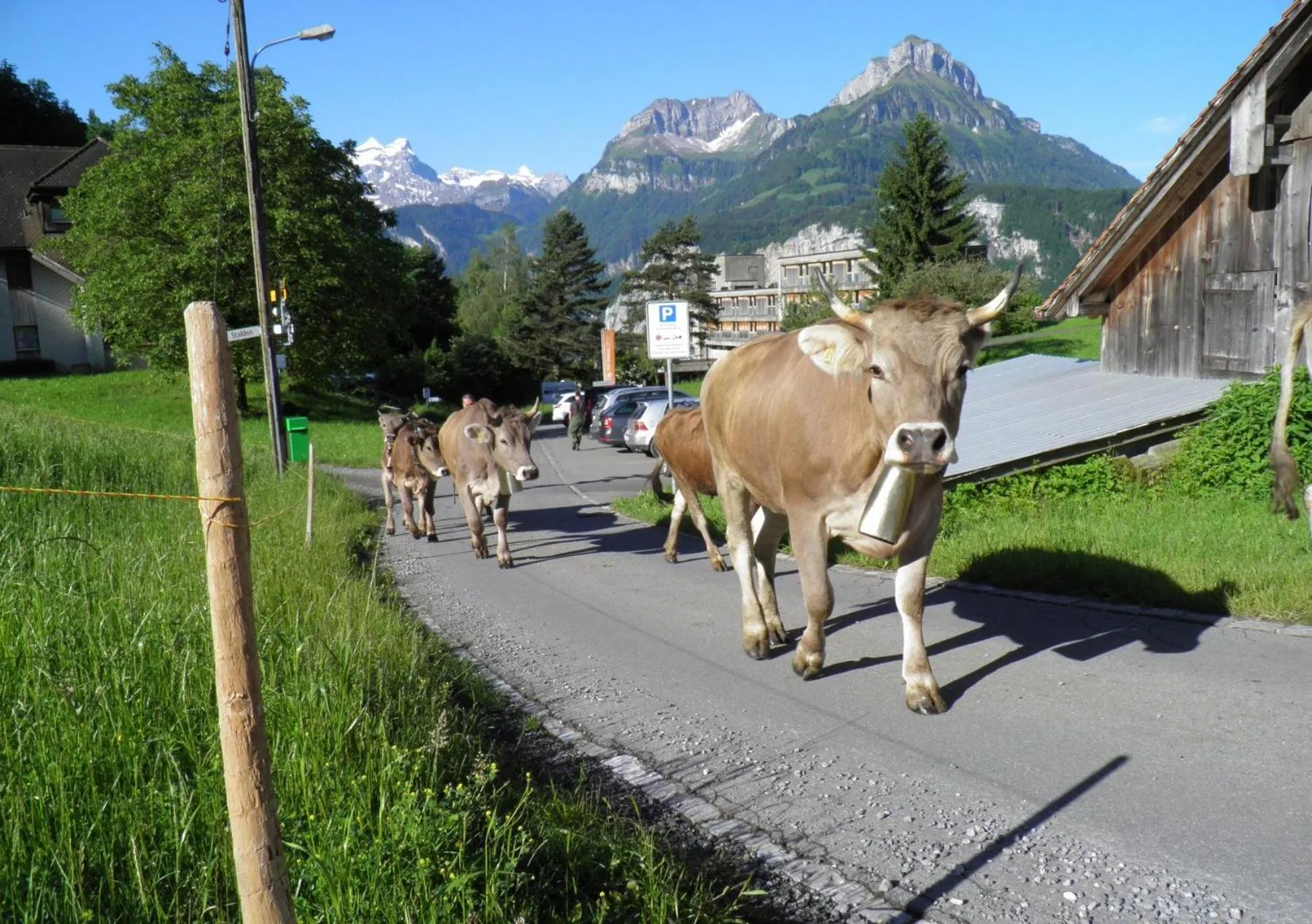 Hiking in B&B Hotel Mattli Übernachtung Frühstück