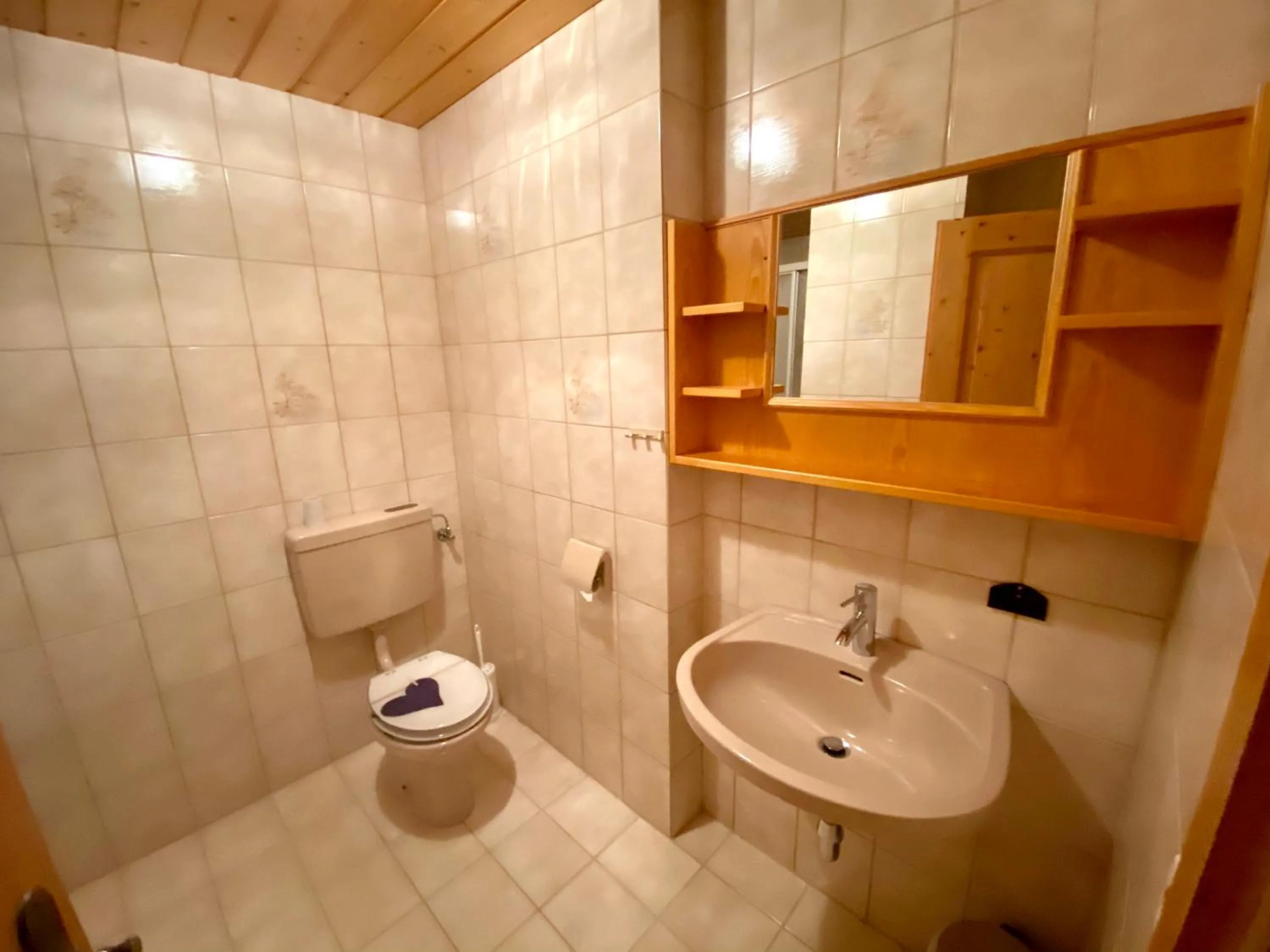 Bathroom in Pleschinhof