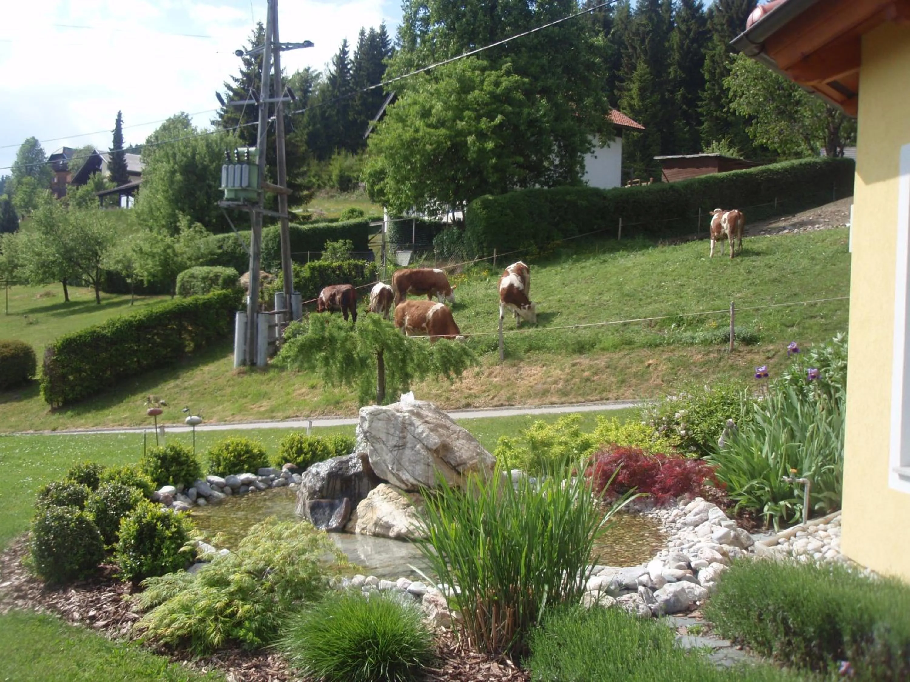 Animals in Pleschinhof