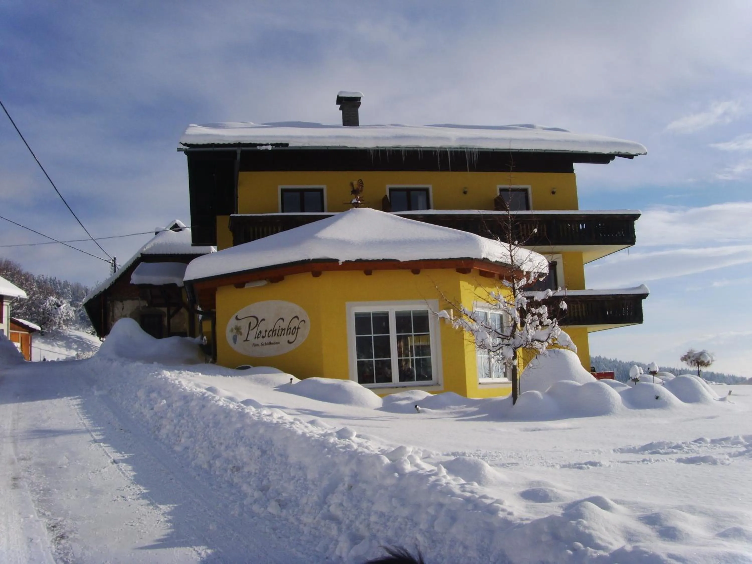 Facade/entrance in Pleschinhof