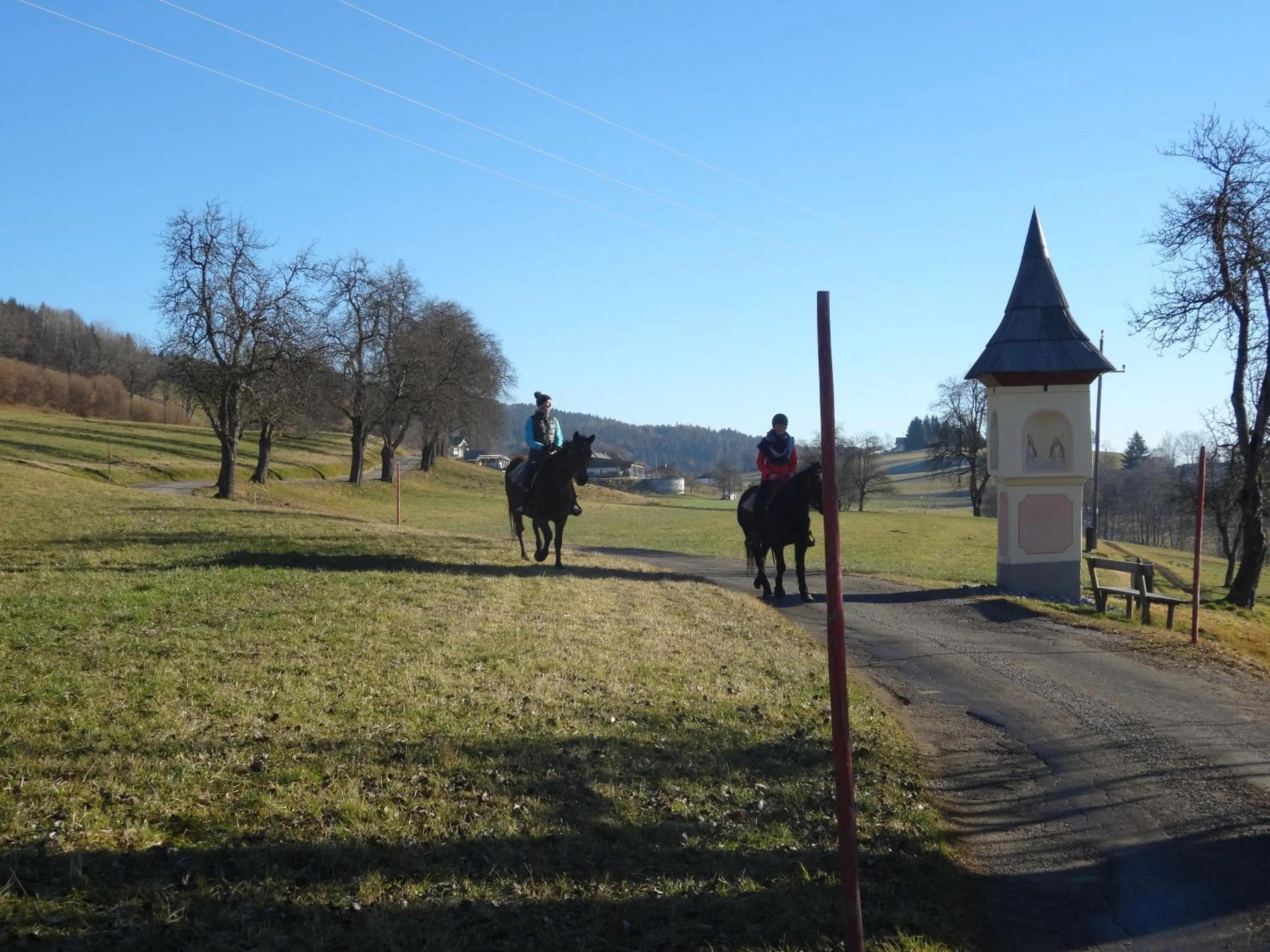 Animals in Pleschinhof