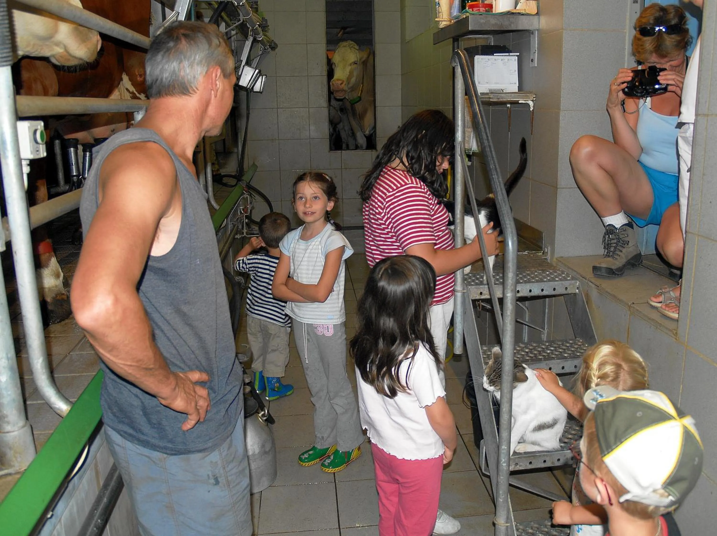 Activities in Pleschinhof