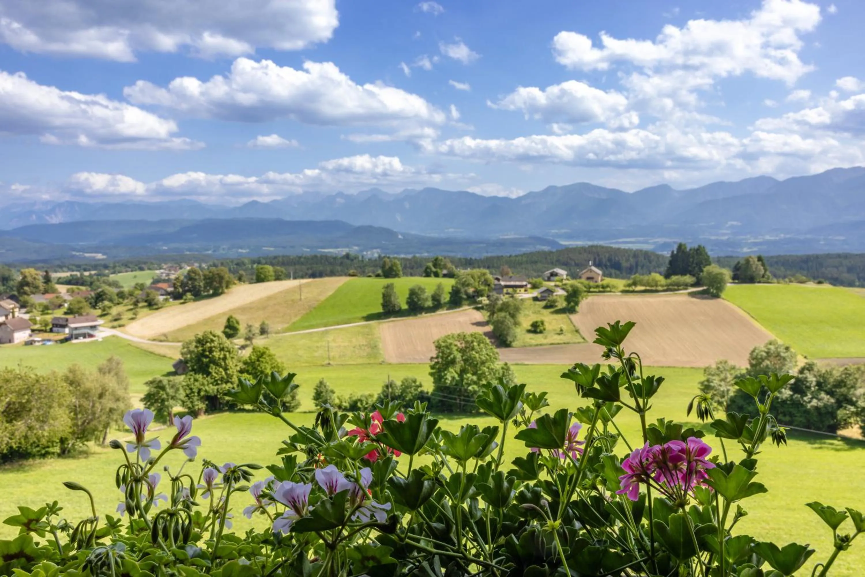 Natural landscape in Pleschinhof