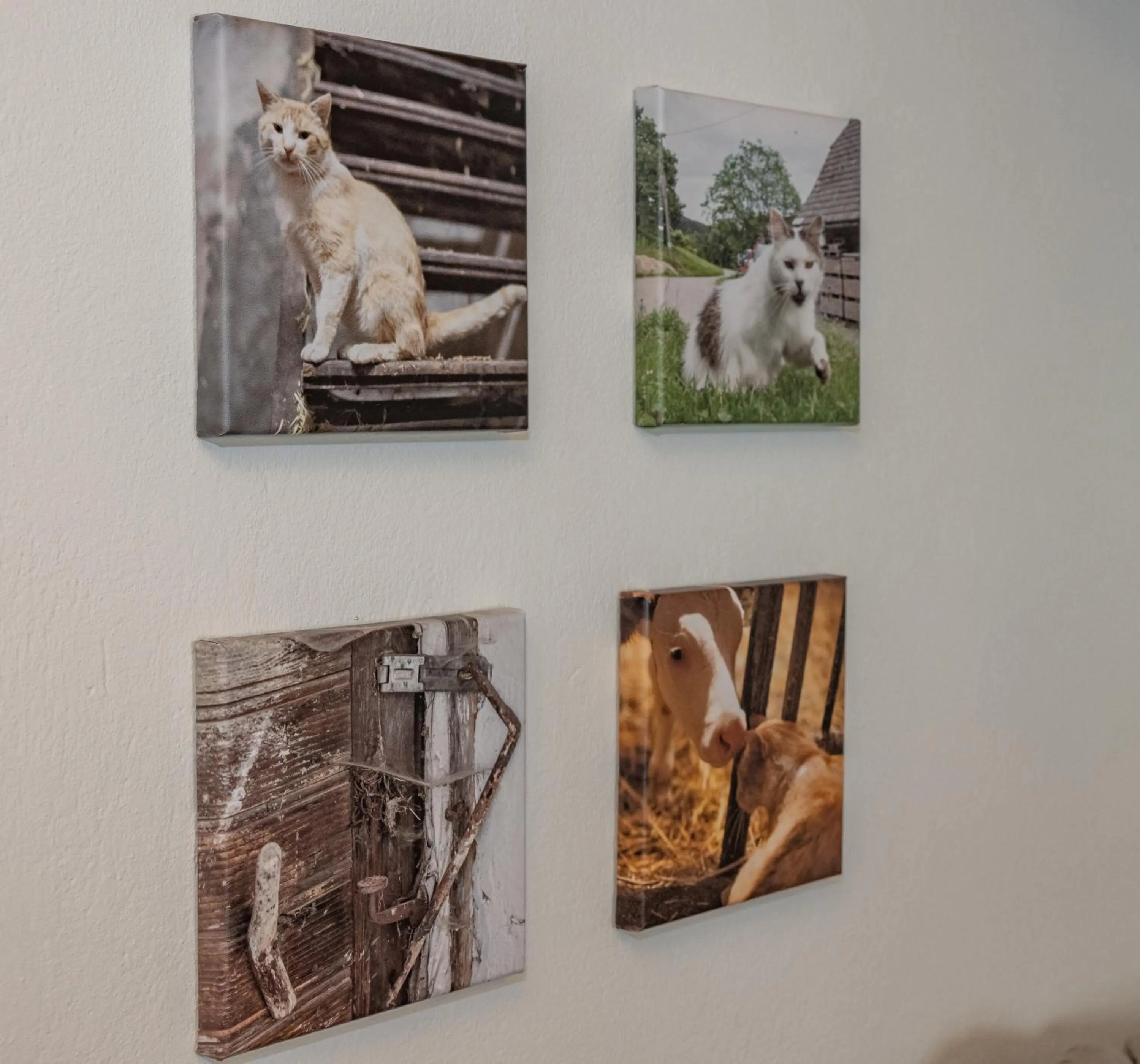 Decorative detail in Pleschinhof